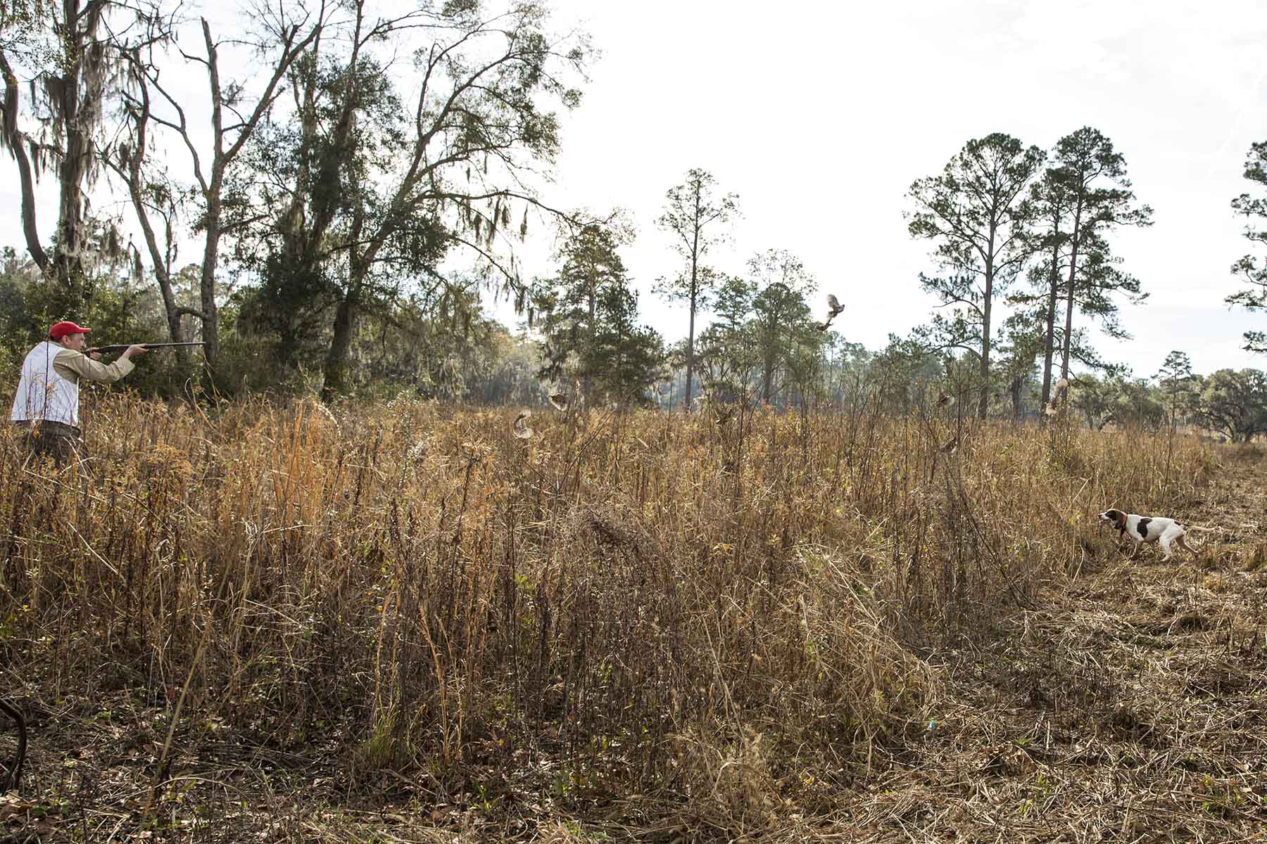 Loveridge Plantation property picture 28 of 107
