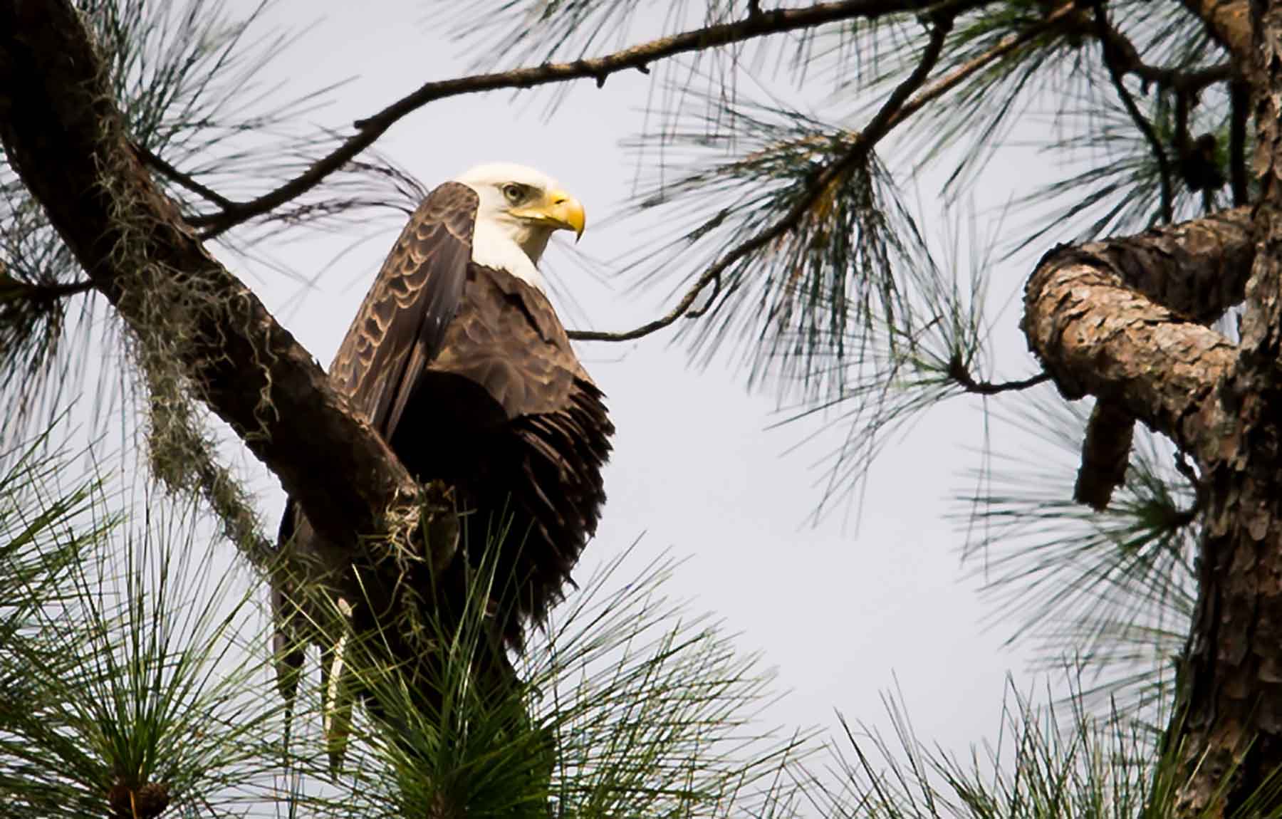Loveridge Plantation property picture 97 of 107
