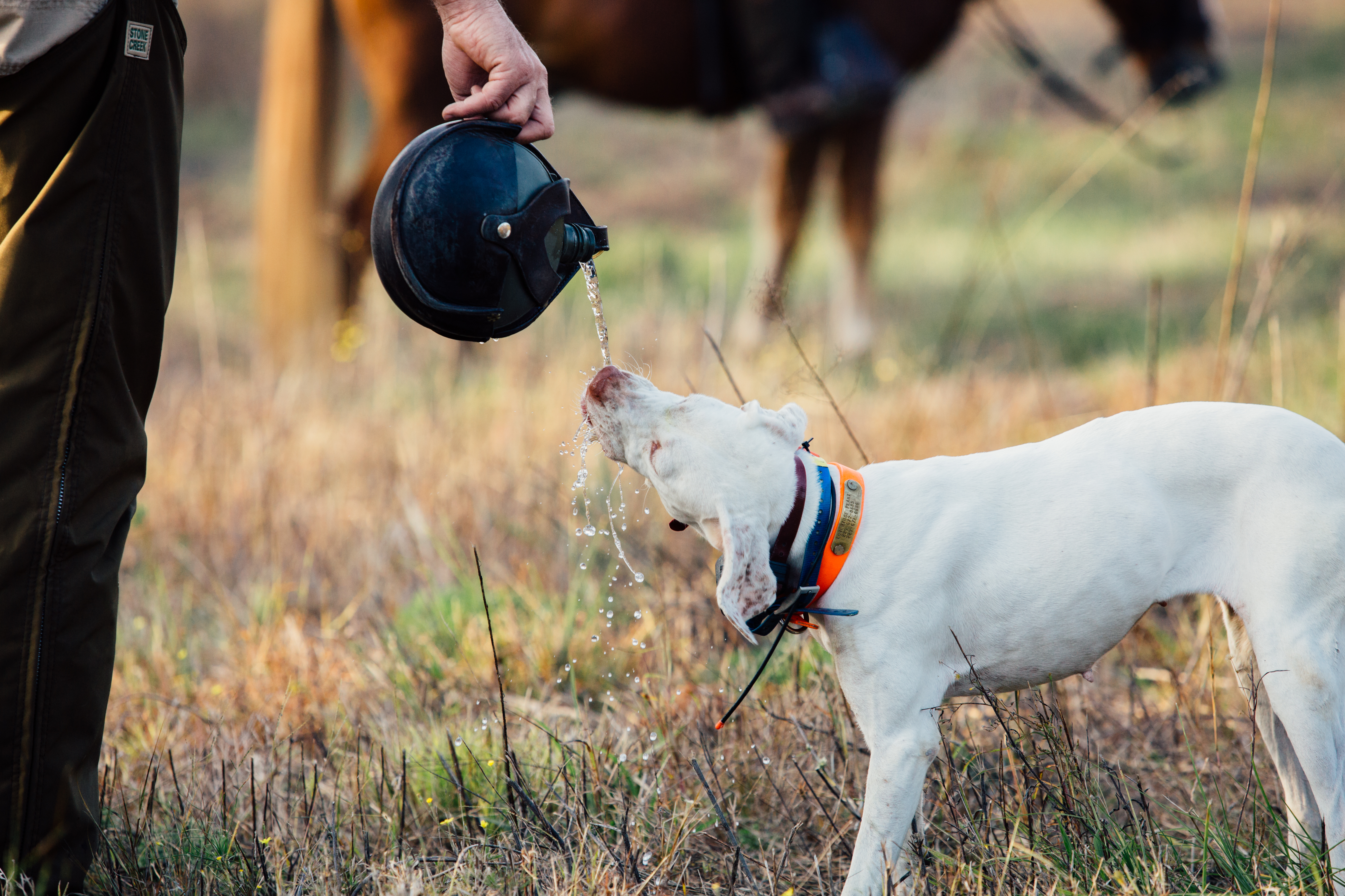 Loveridge Plantation property picture 23 of 107