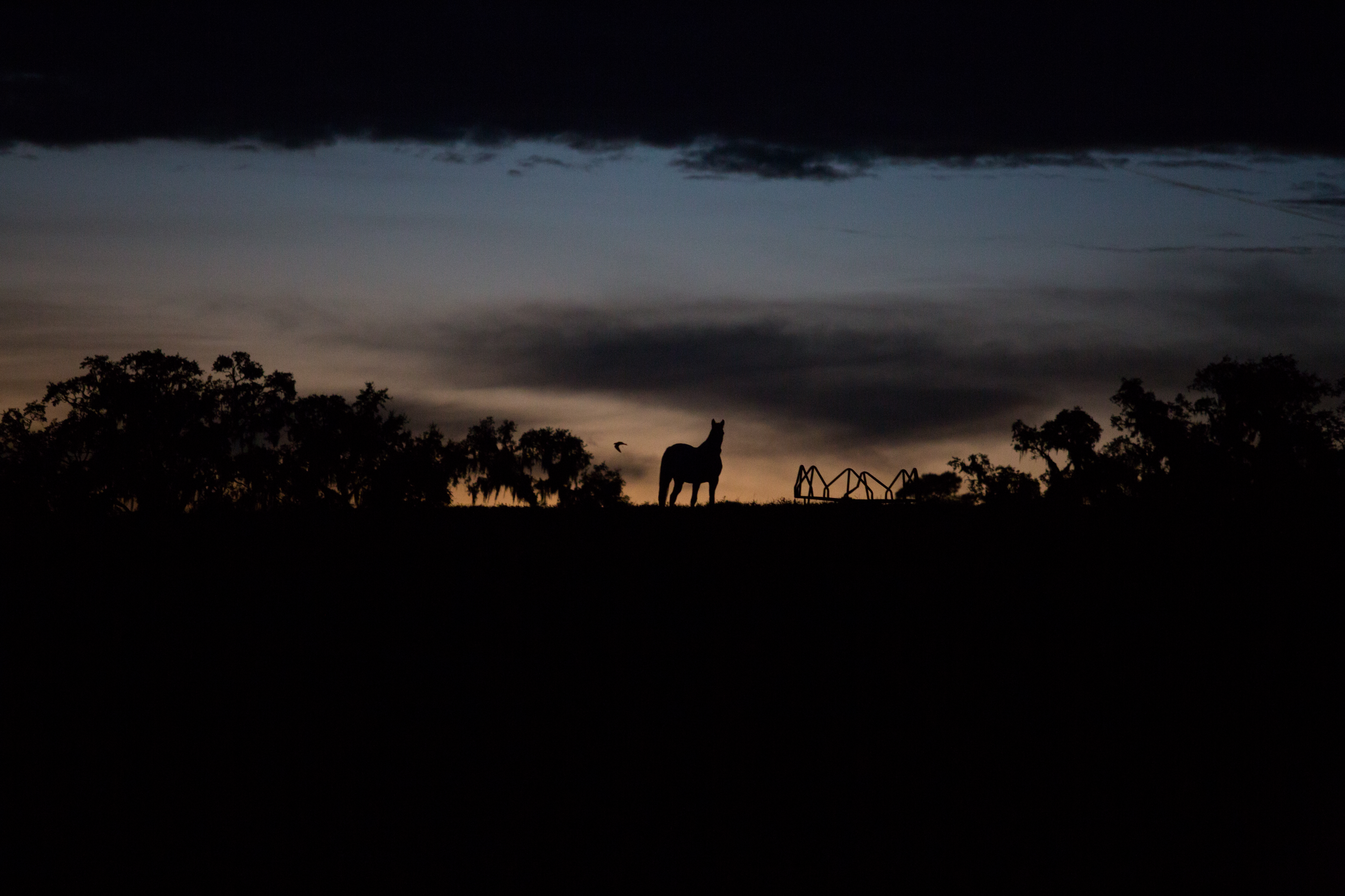Loveridge Plantation property picture 14 of 107