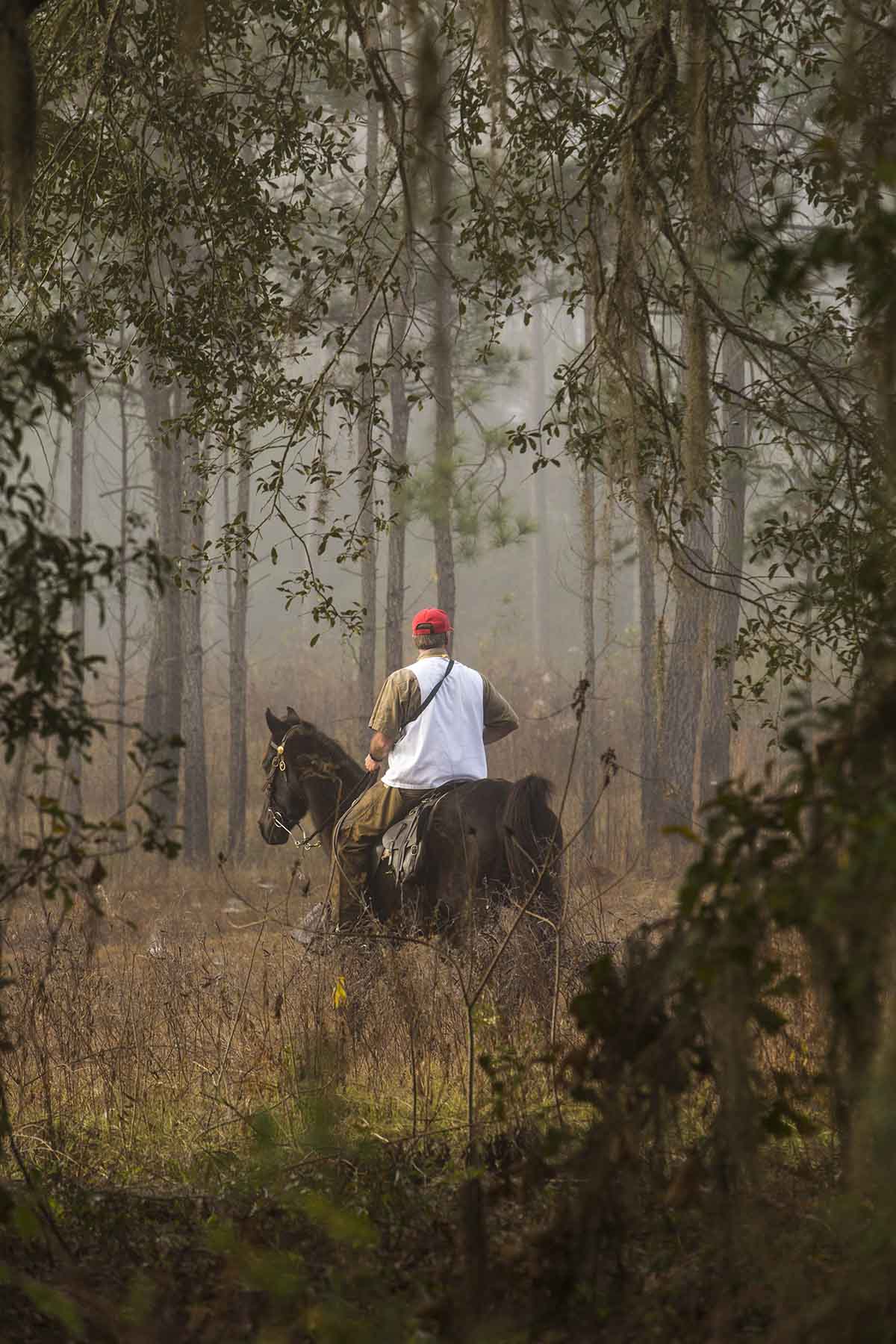 Loveridge Plantation property picture 4 of 107