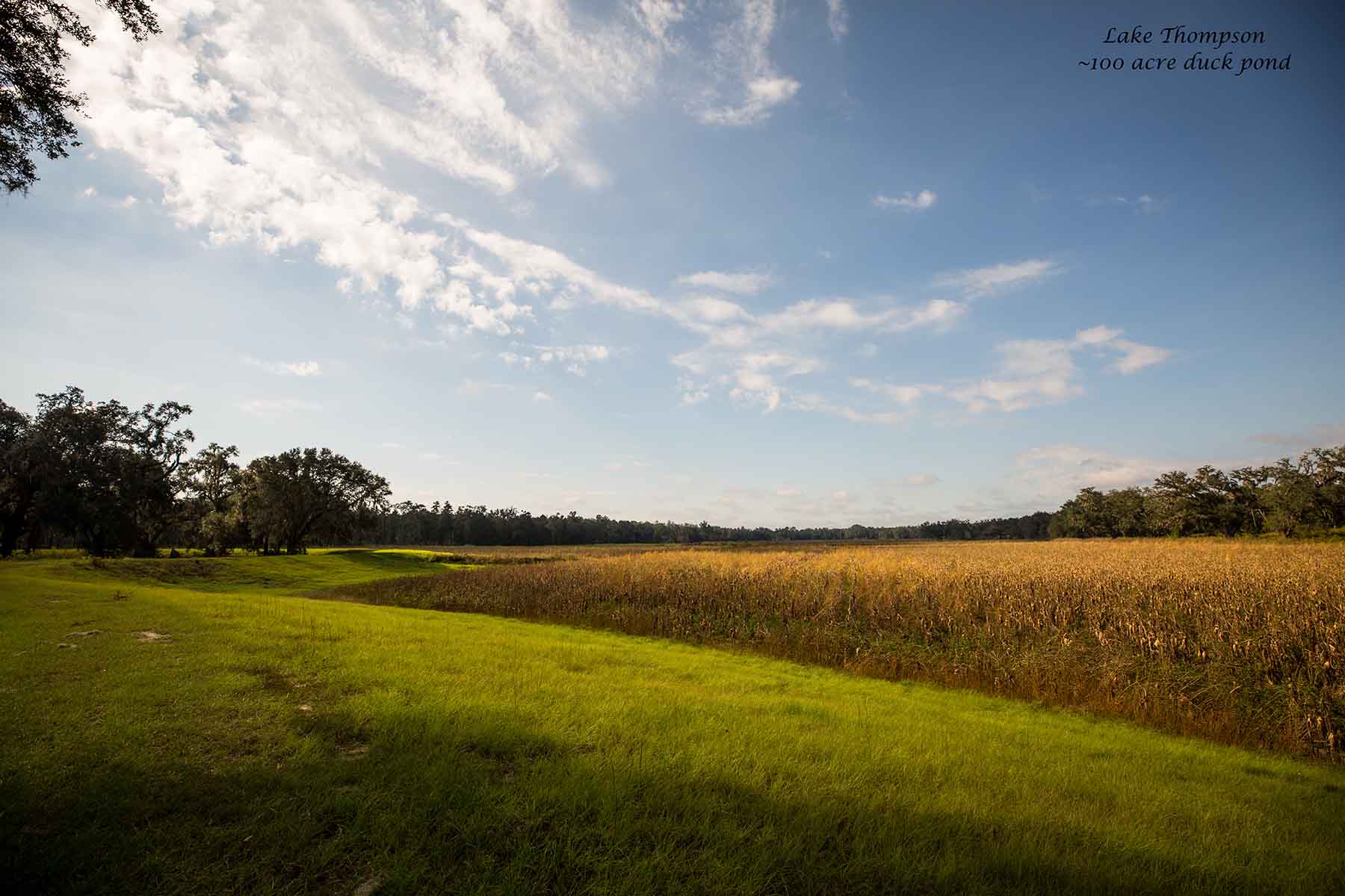 Loveridge Plantation property picture 95 of 107
