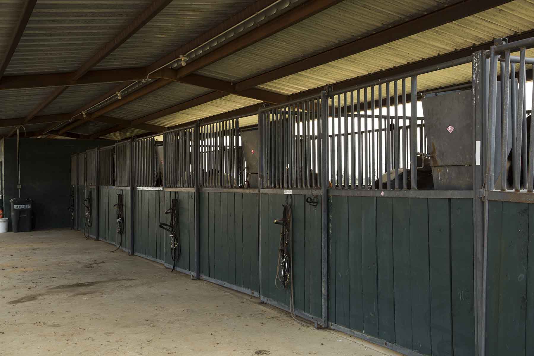 Loveridge Plantation property picture 78 of 107