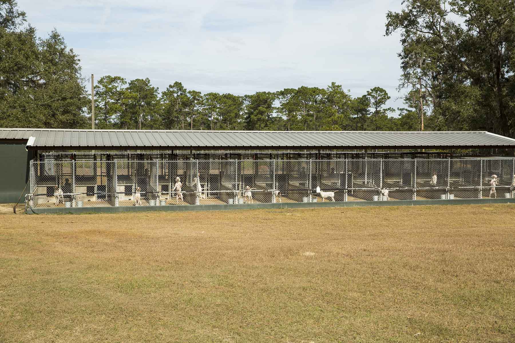 Loveridge Plantation property picture 80 of 107