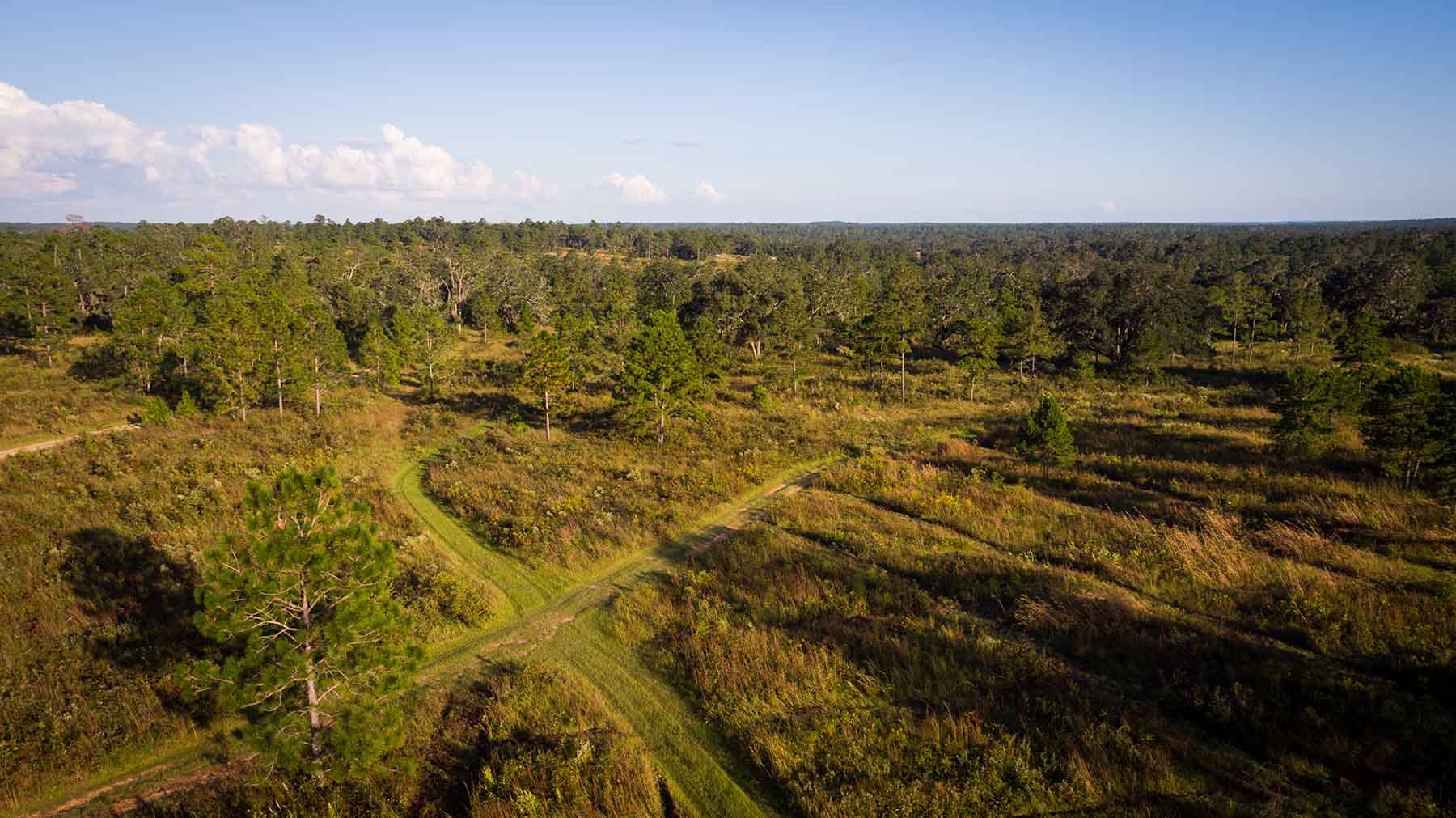 Loveridge Plantation property picture 101 of 107