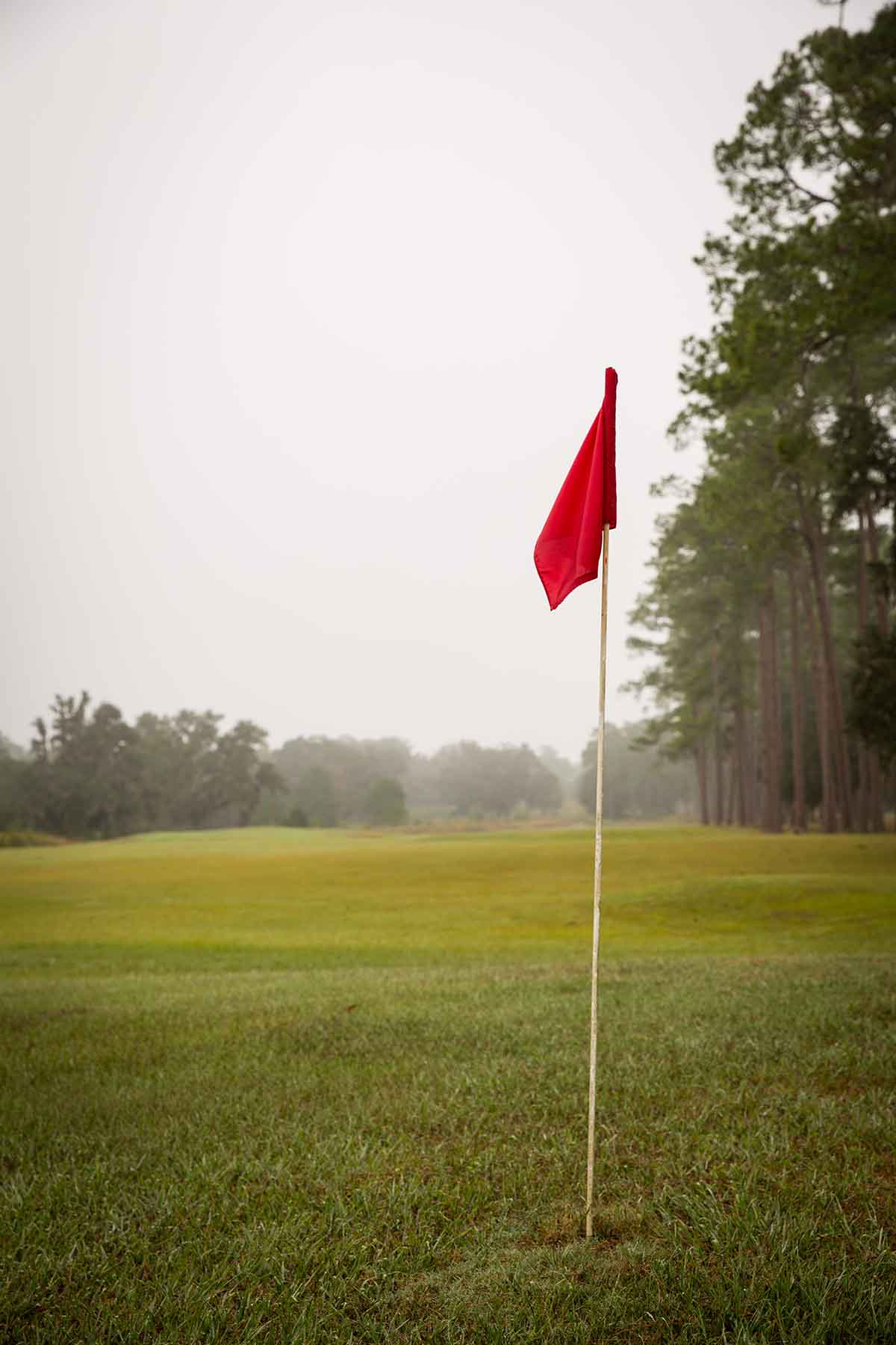 Loveridge Plantation property picture 71 of 107