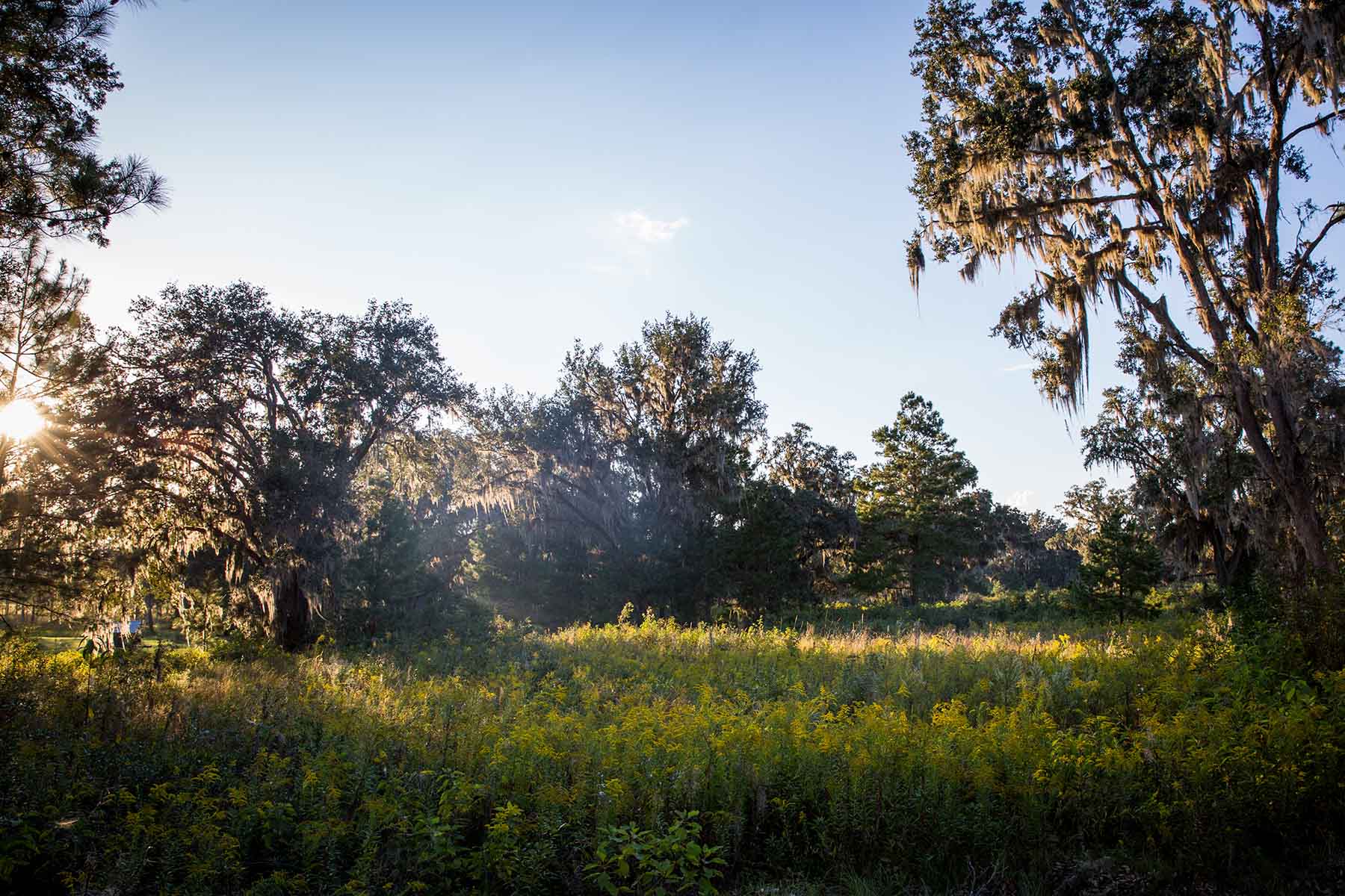 Loveridge Plantation property picture 102 of 107