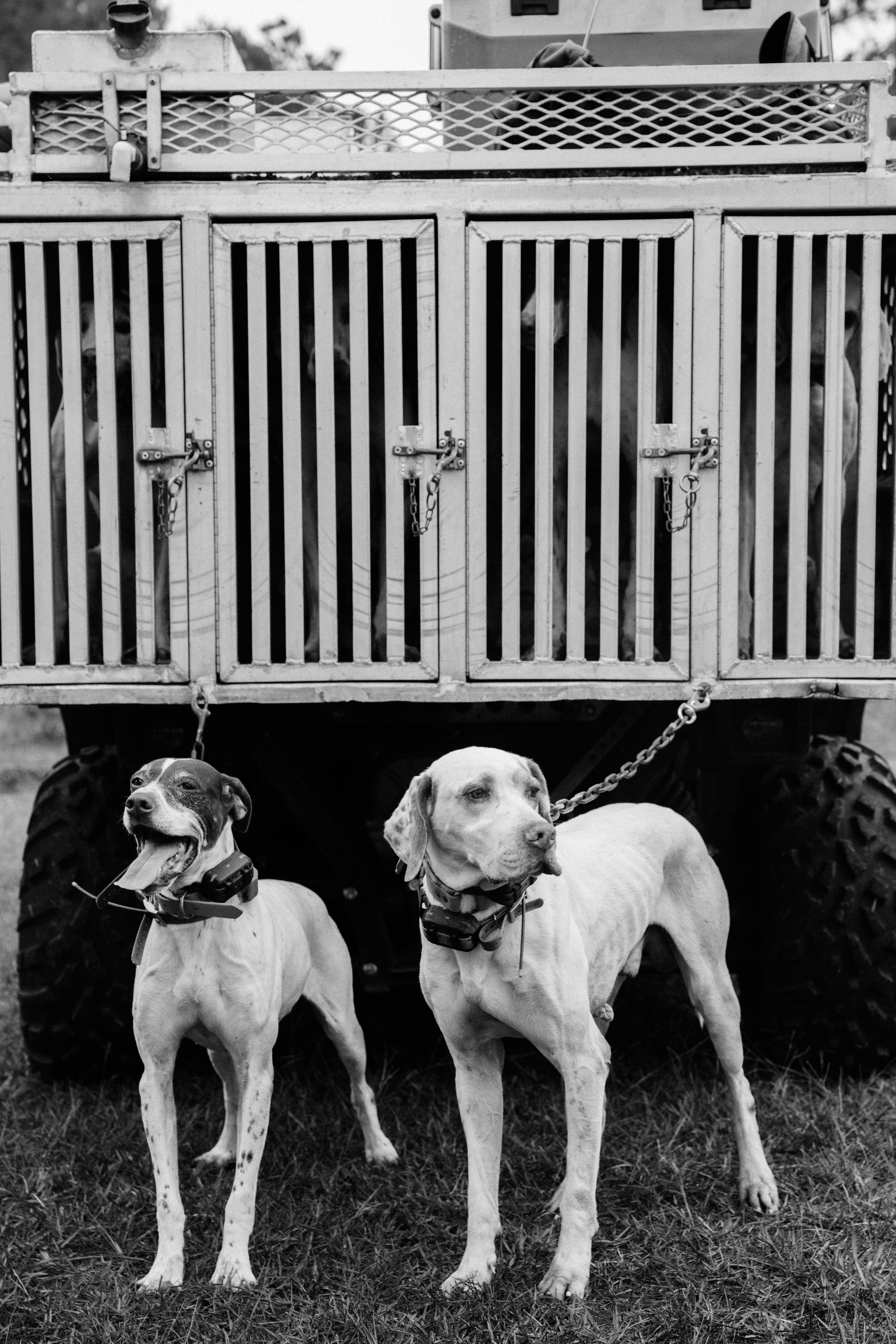 Loveridge Plantation property picture 15 of 107