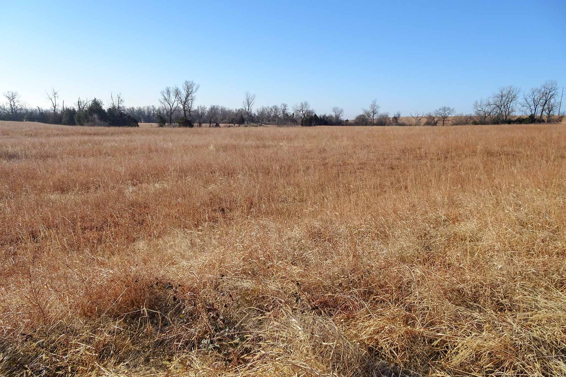 North Drummond Ranch property picture 8 of 15