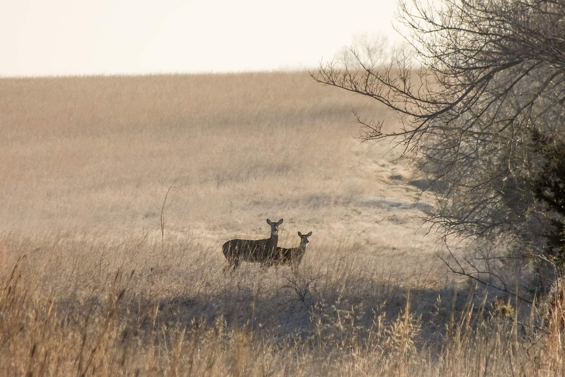 North Drummond Ranch property picture 13 of 15