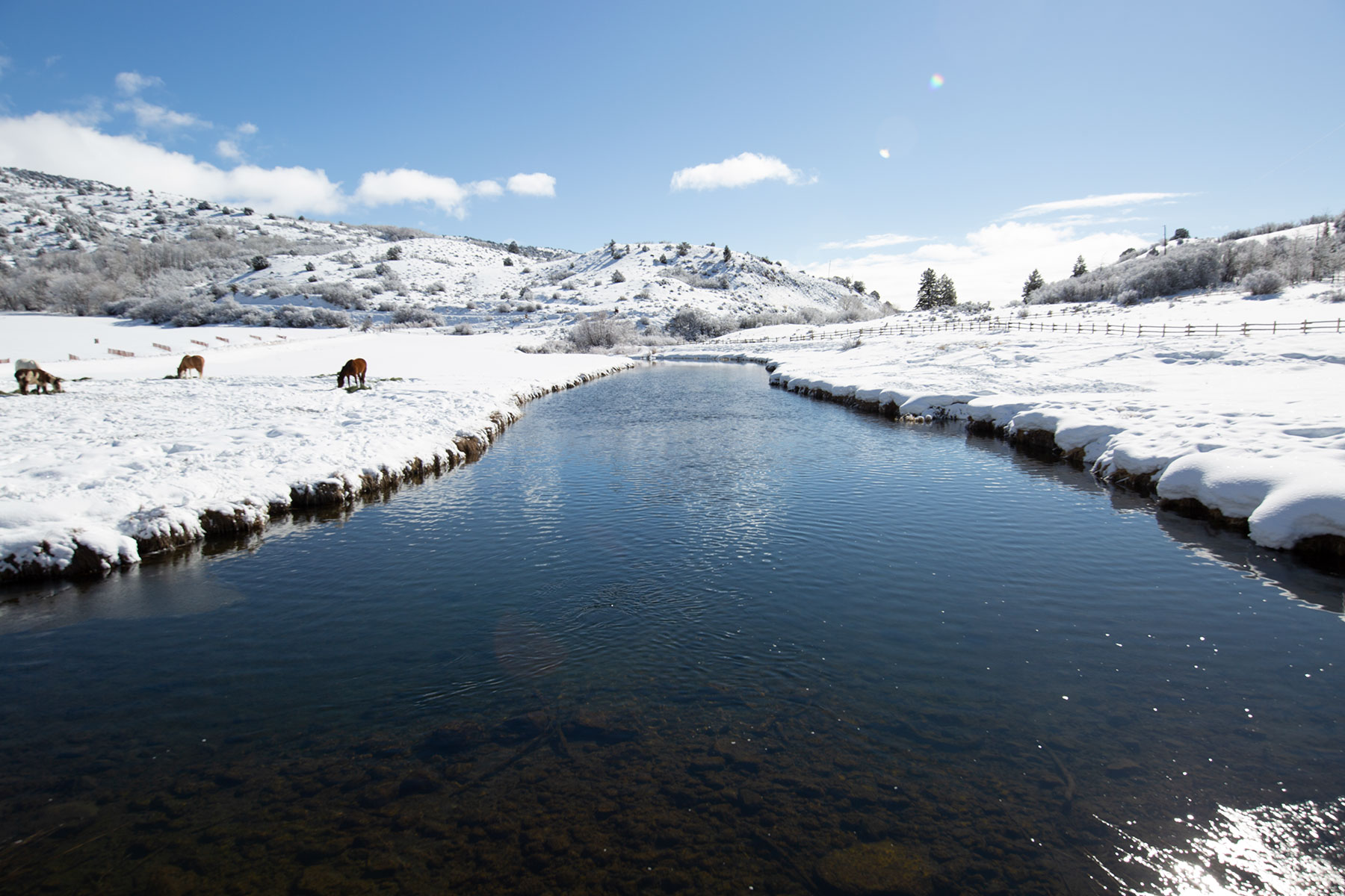 L Quarter Circle property picture 11 of 137