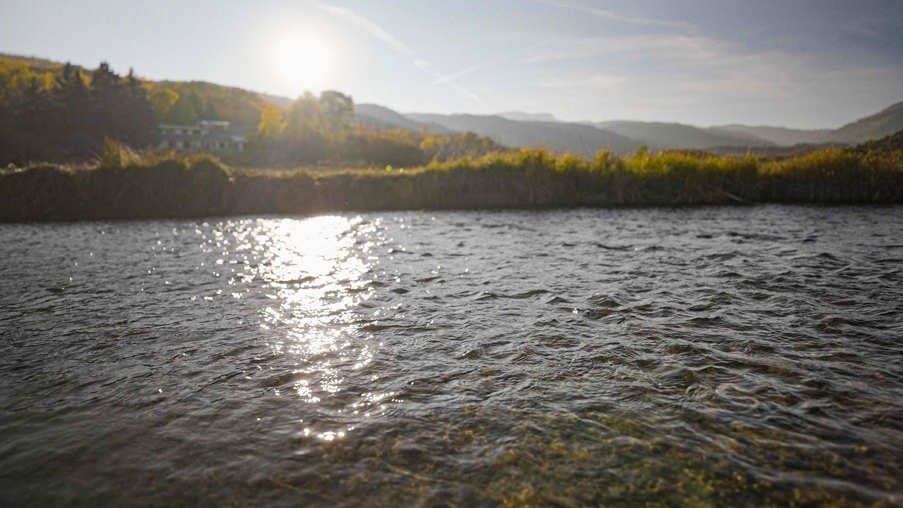 L Quarter Circle property picture 60 of 137