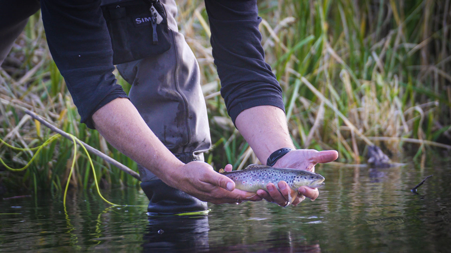 L Quarter Circle property picture 15 of 137