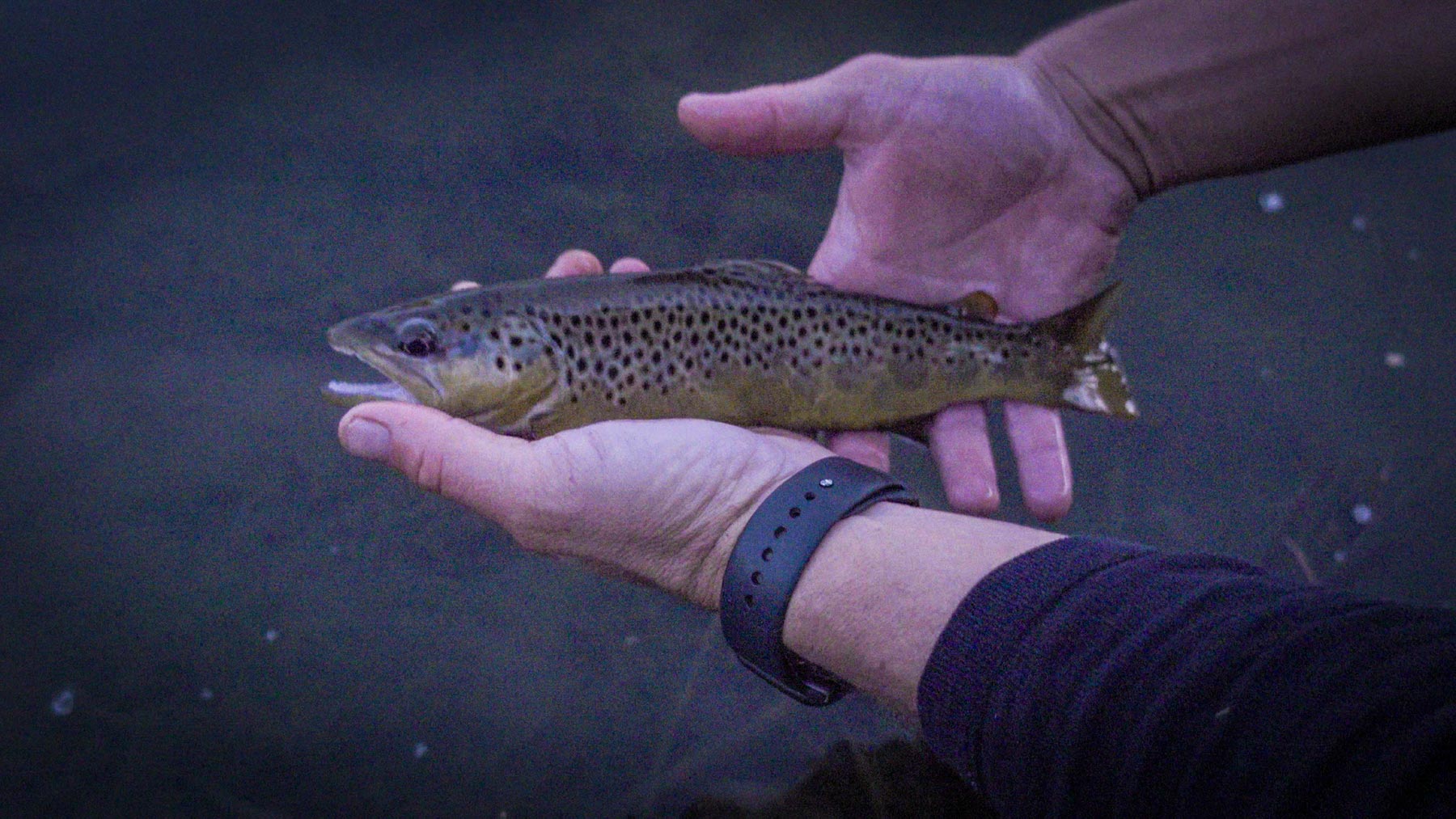 L Quarter Circle property picture 70 of 137