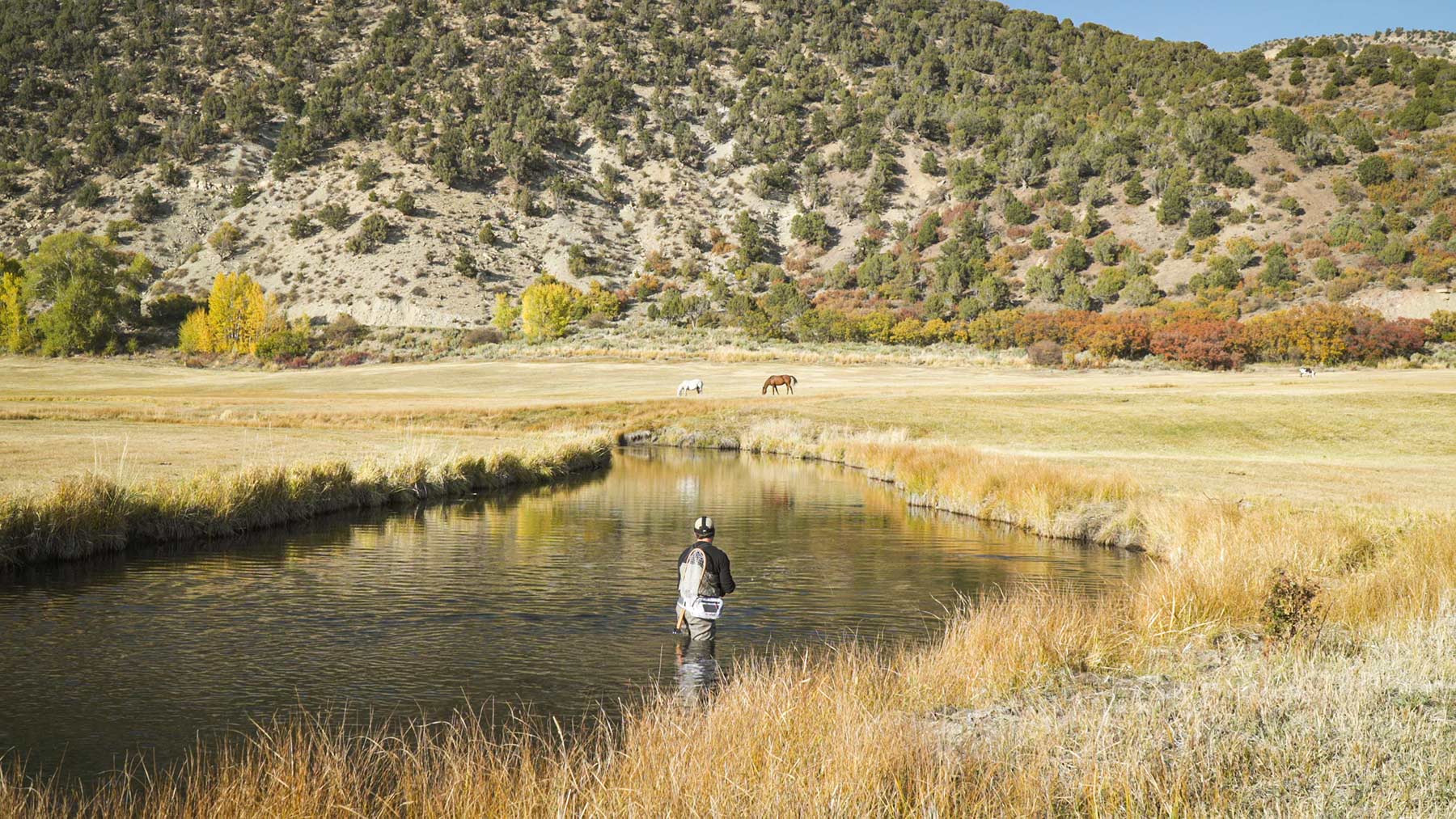 L Quarter Circle property picture 16 of 137