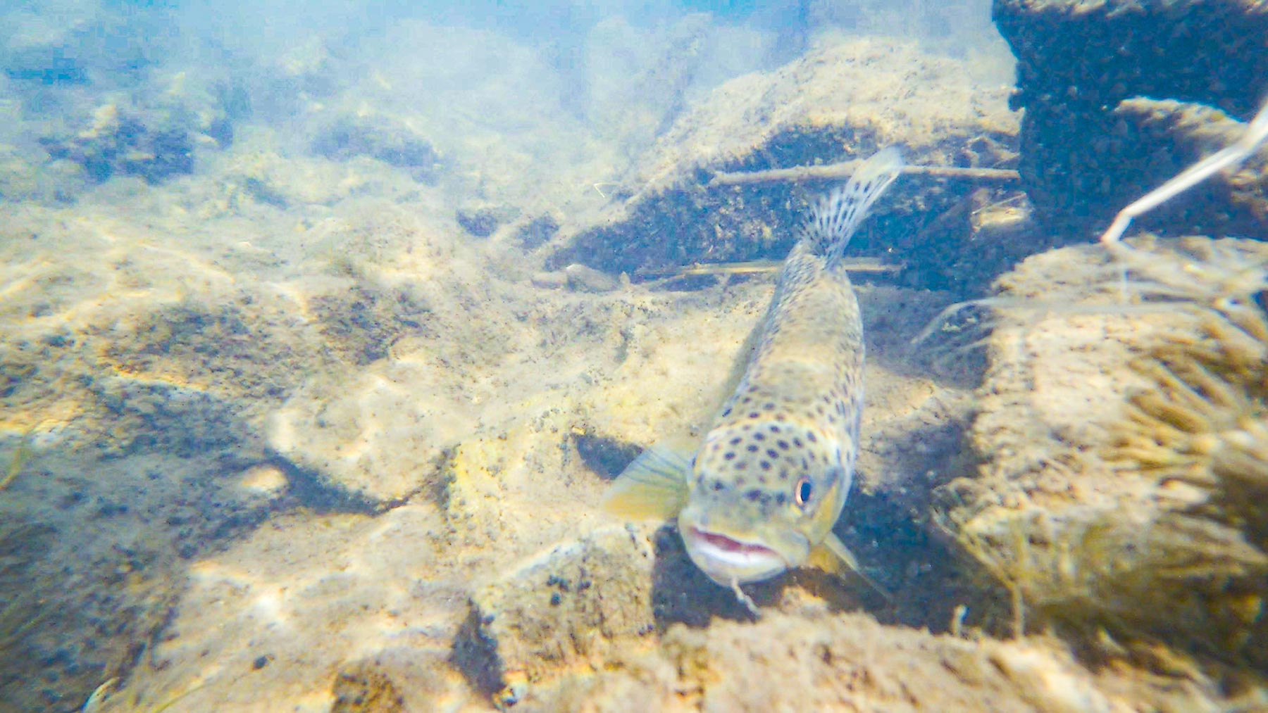 L Quarter Circle property picture 69 of 137