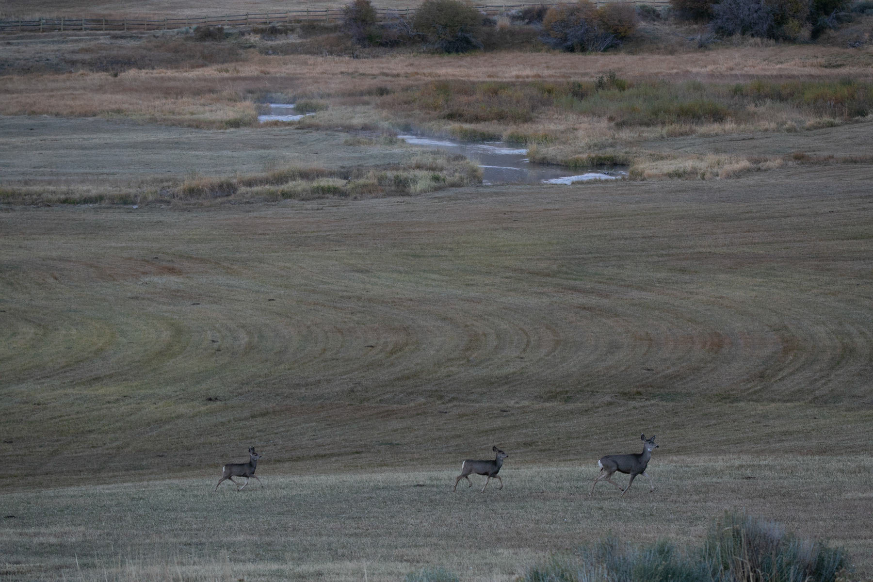 L Quarter Circle property picture 13 of 137