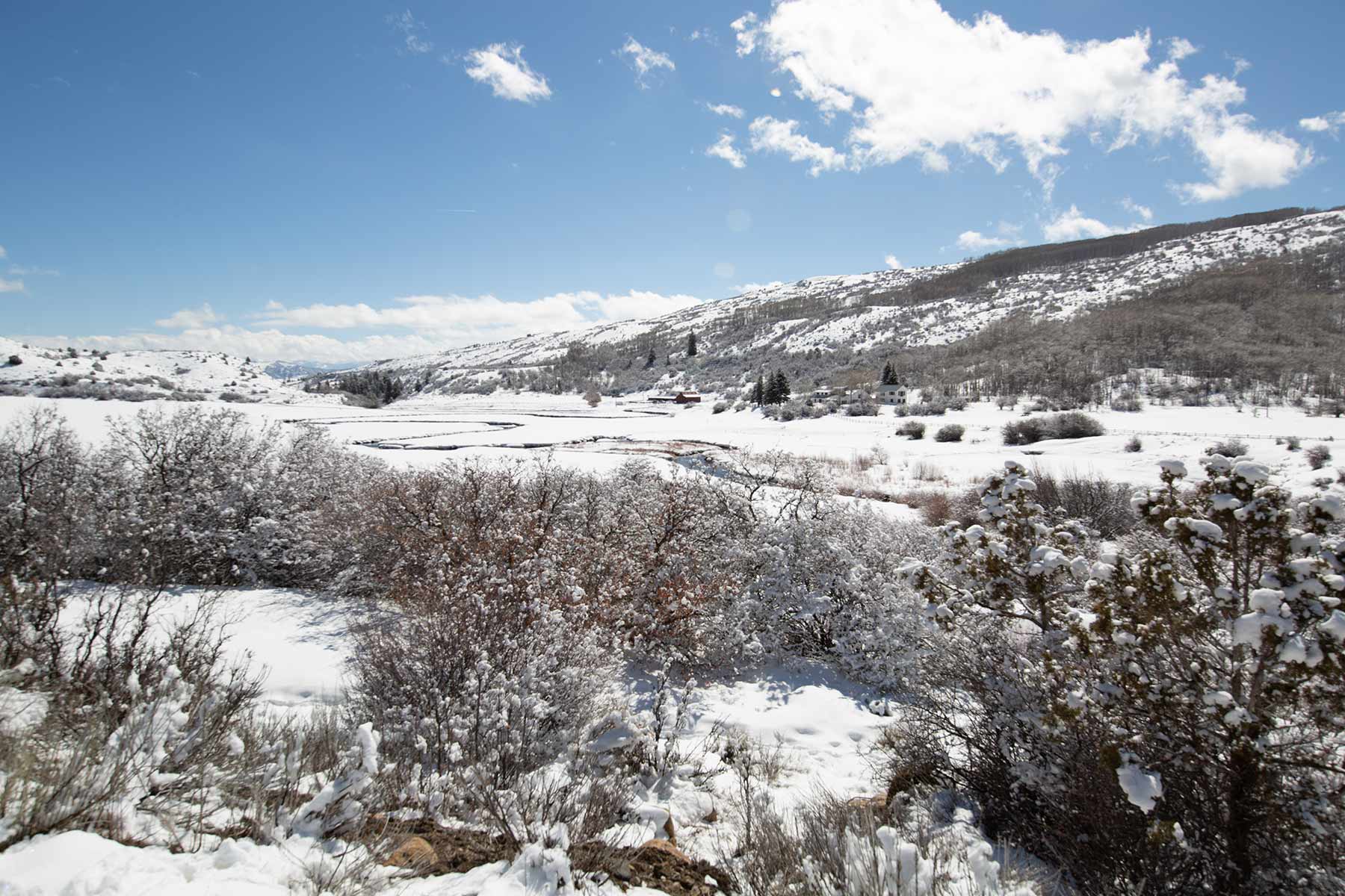 L Quarter Circle property picture 9 of 137