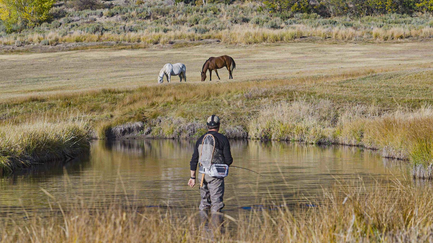 L Quarter Circle property picture 59 of 137