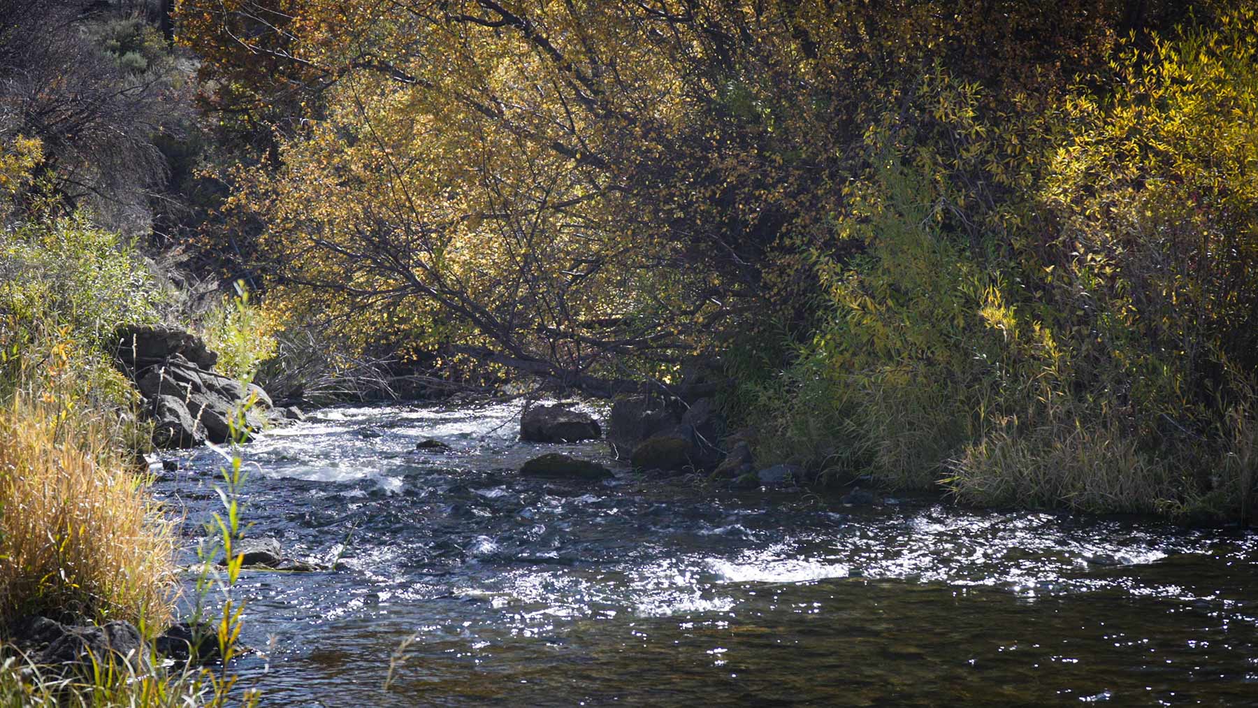 L Quarter Circle property picture 33 of 137