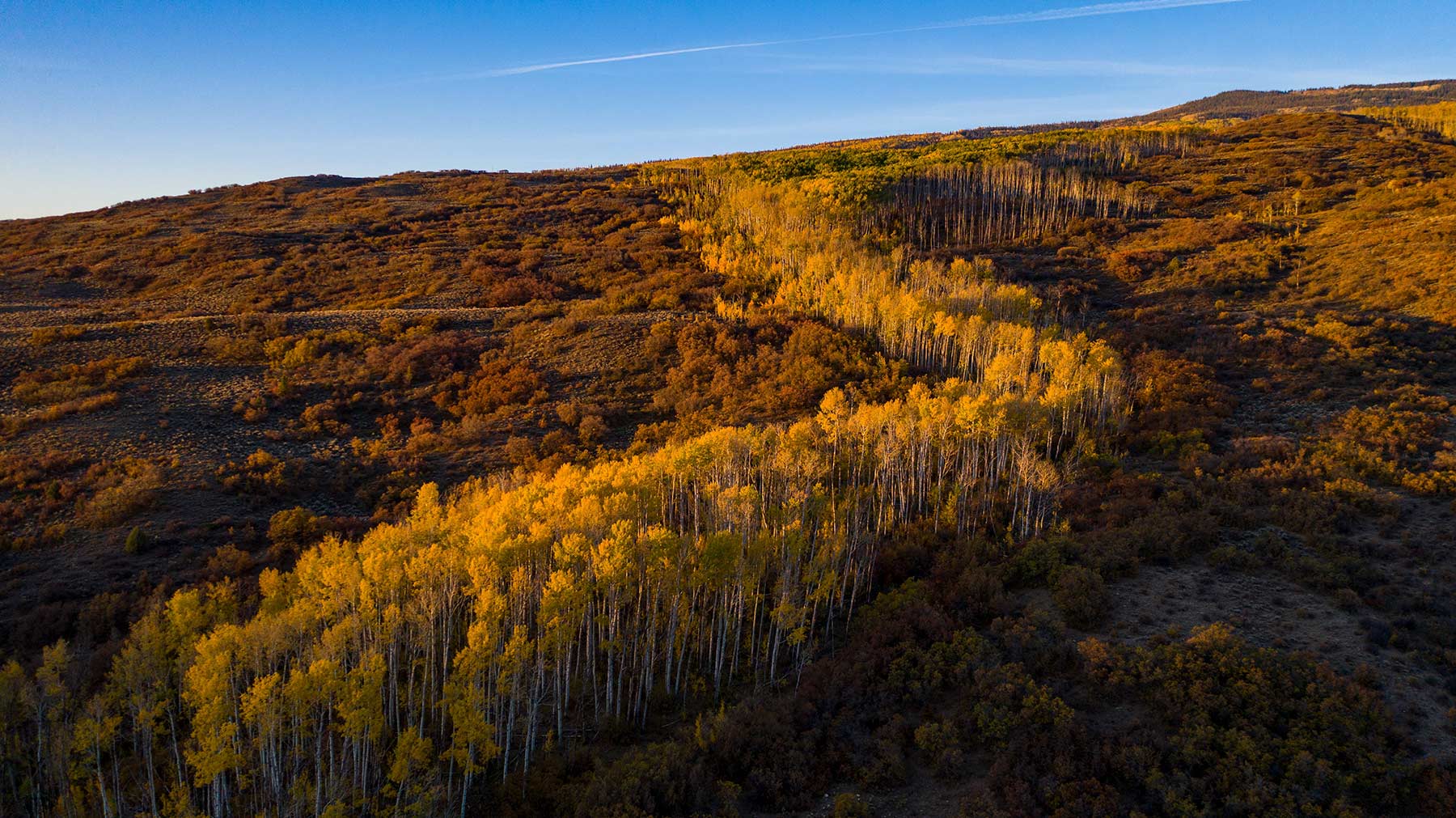 L Quarter Circle property picture 32 of 137