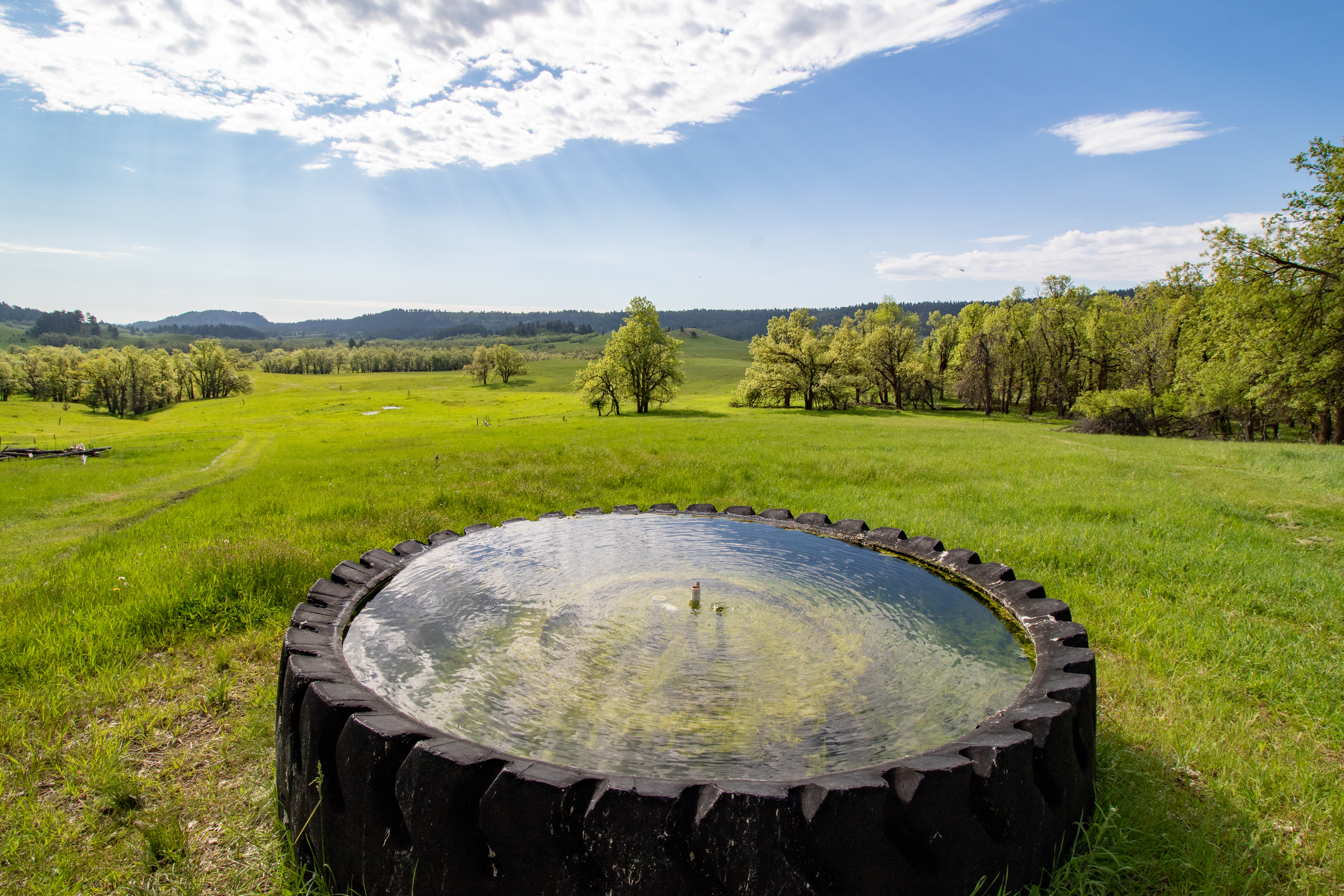 Go Away Ranch property picture 40 of 42