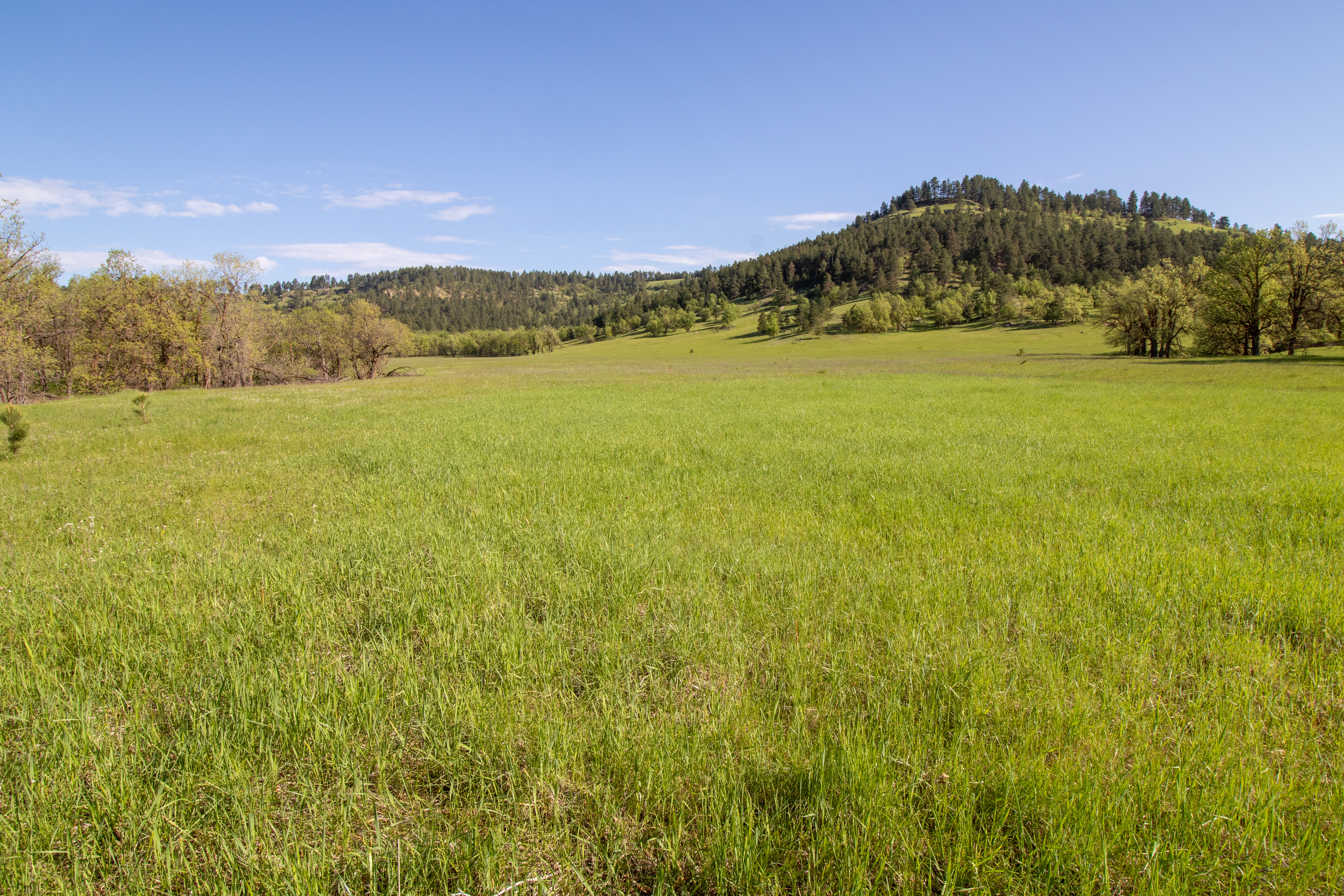 Go Away Ranch property picture 39 of 42