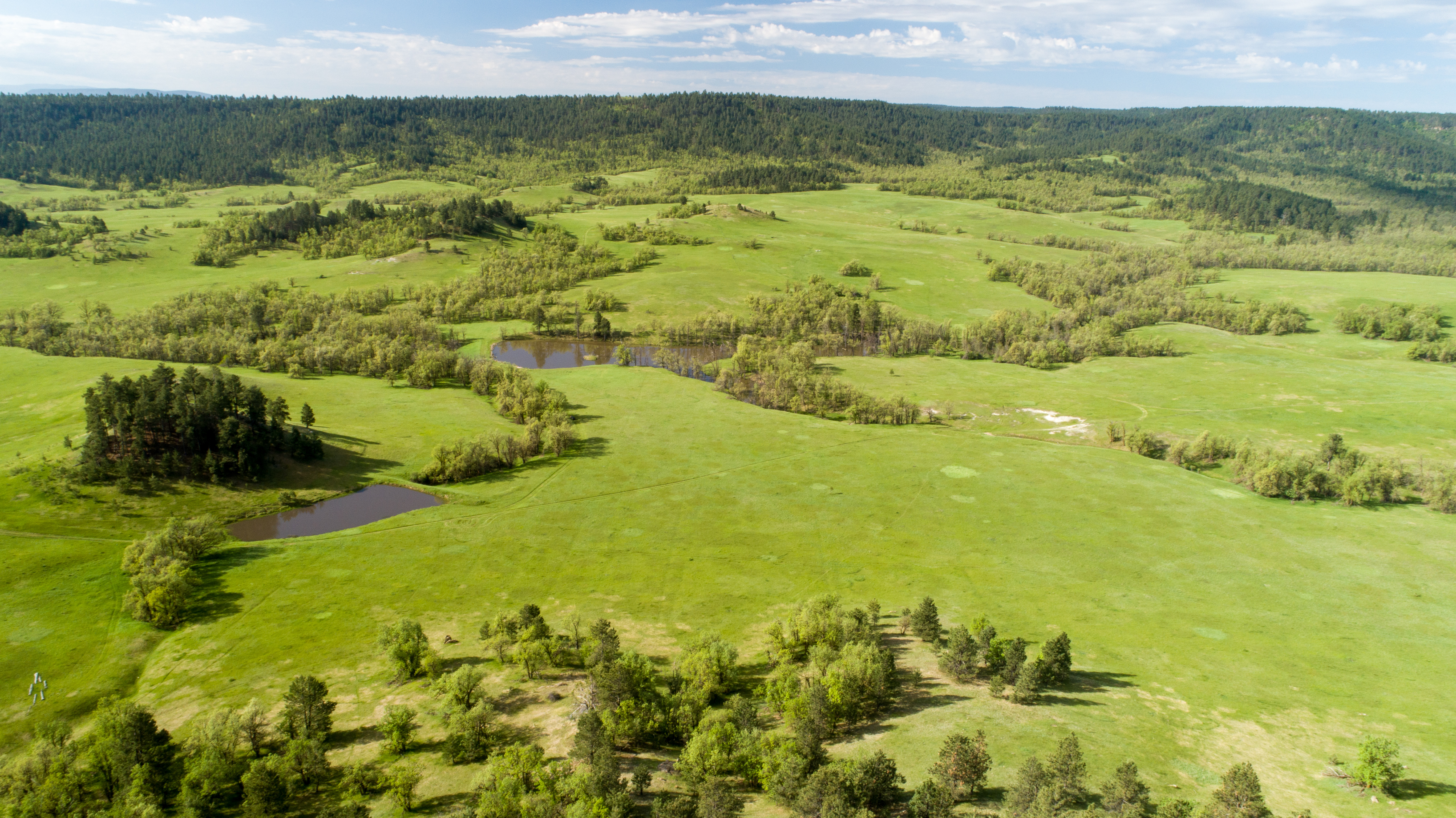 Go Away Ranch property picture 33 of 42