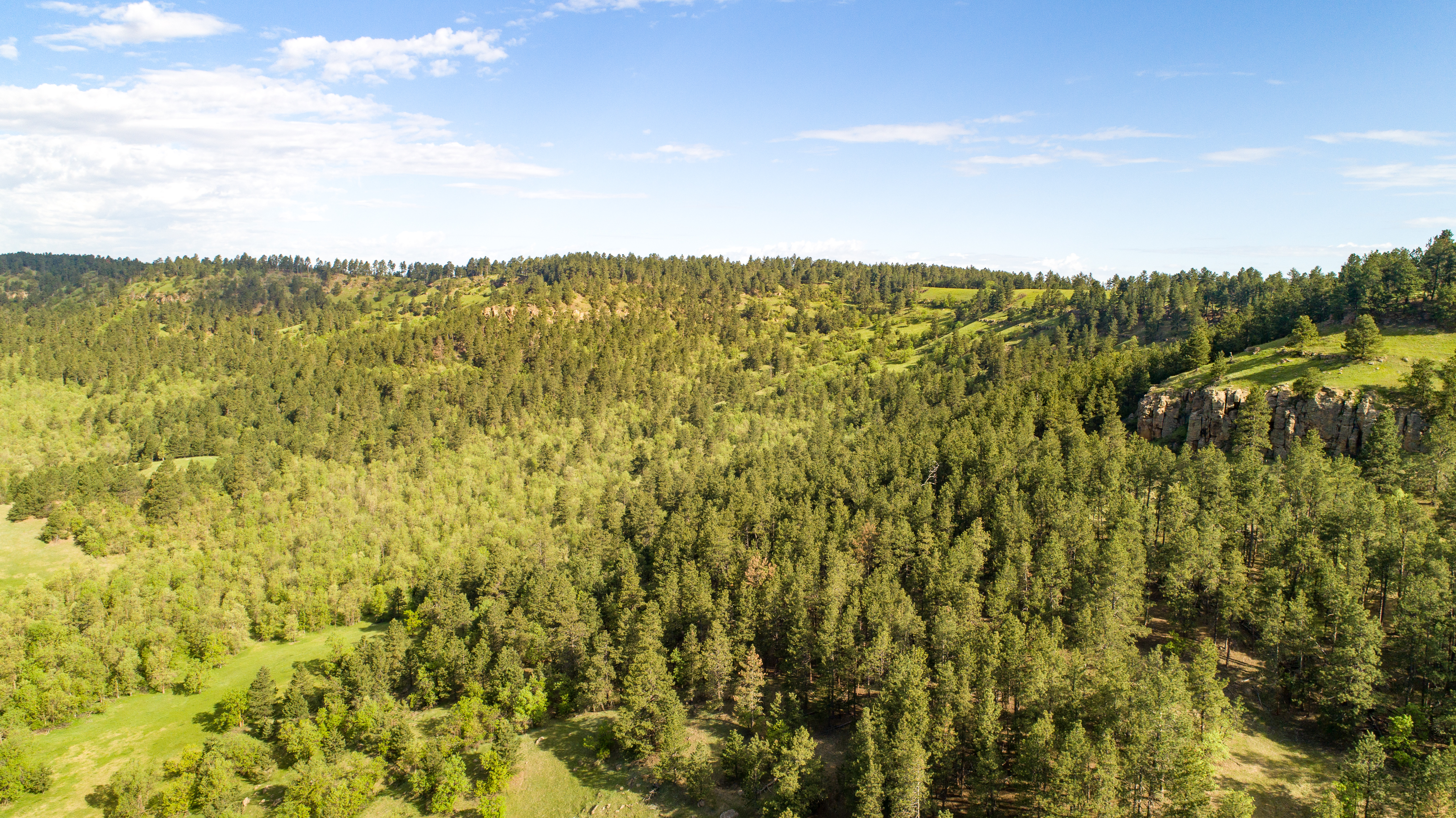 Go Away Ranch property picture 37 of 42