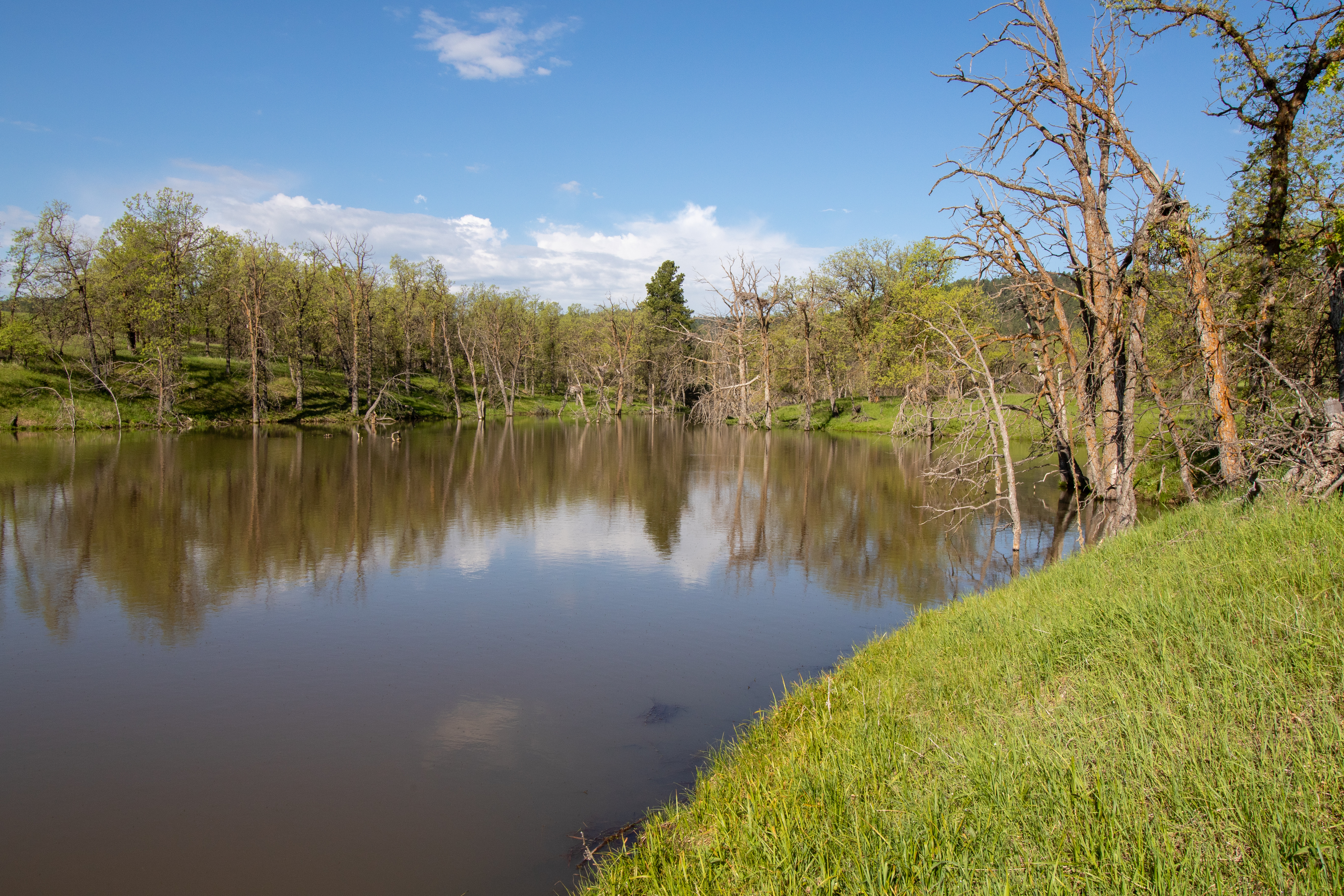 Go Away Ranch property picture 34 of 42