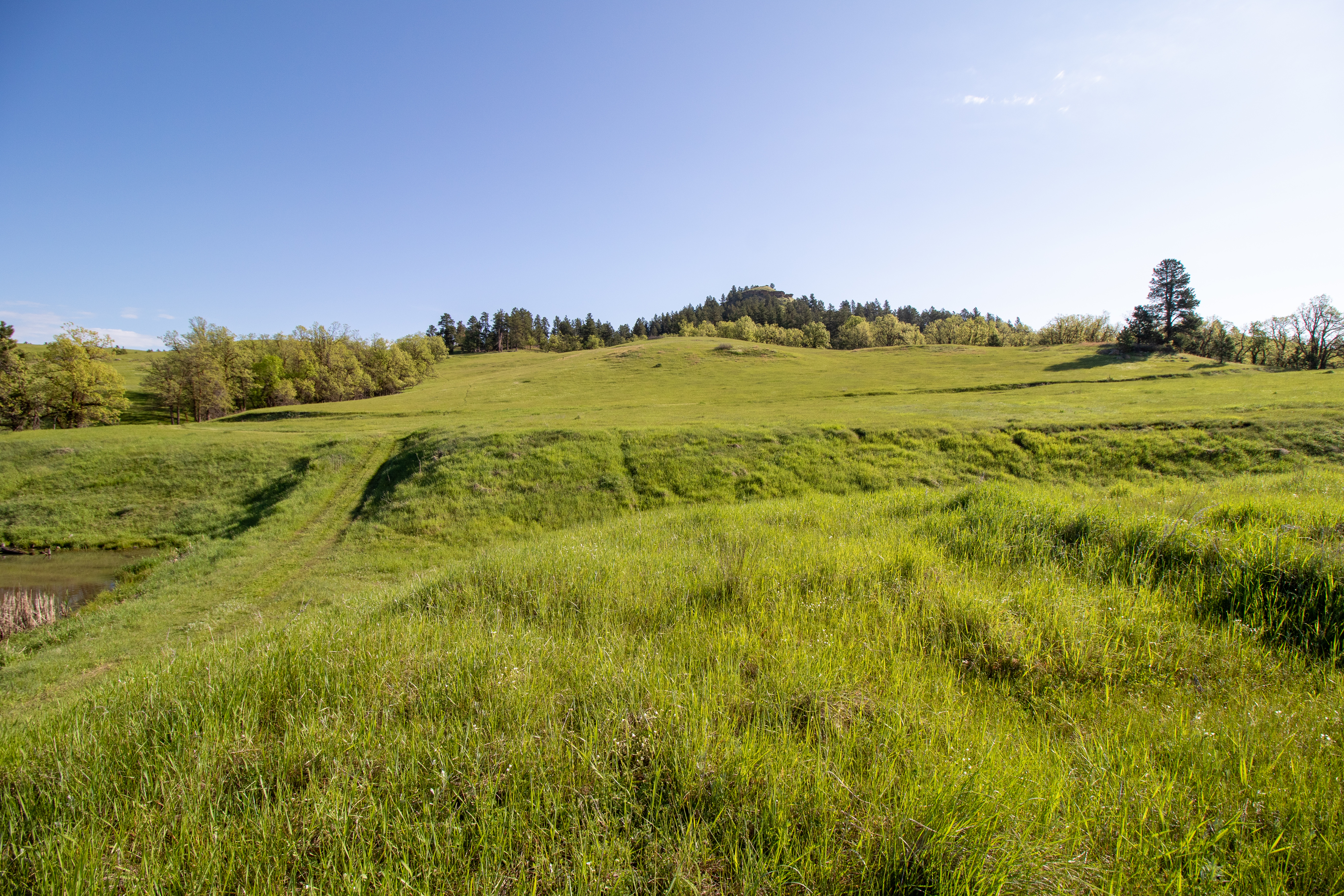 Go Away Ranch property picture 36 of 42