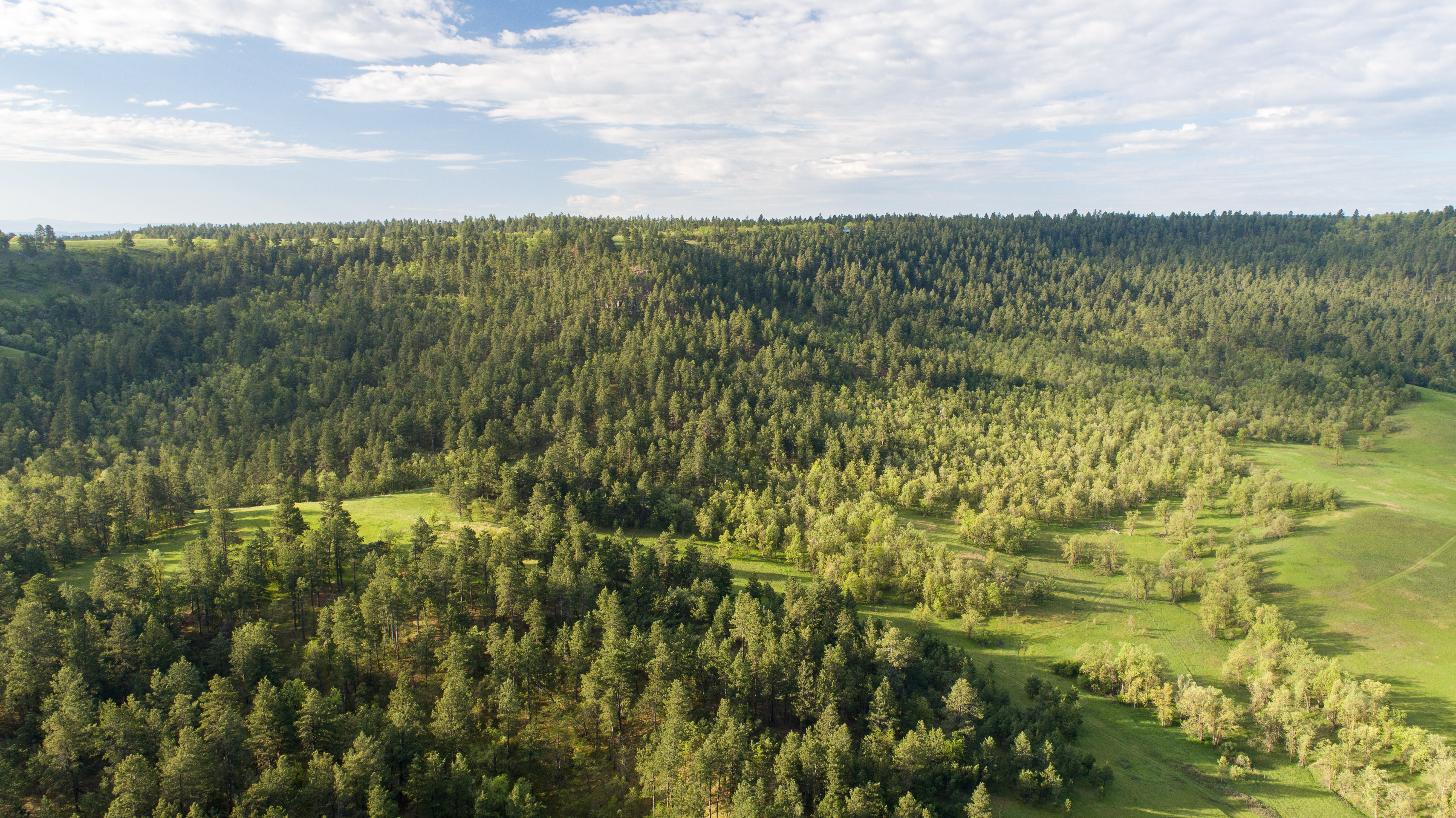 Go Away Ranch property picture 41 of 42