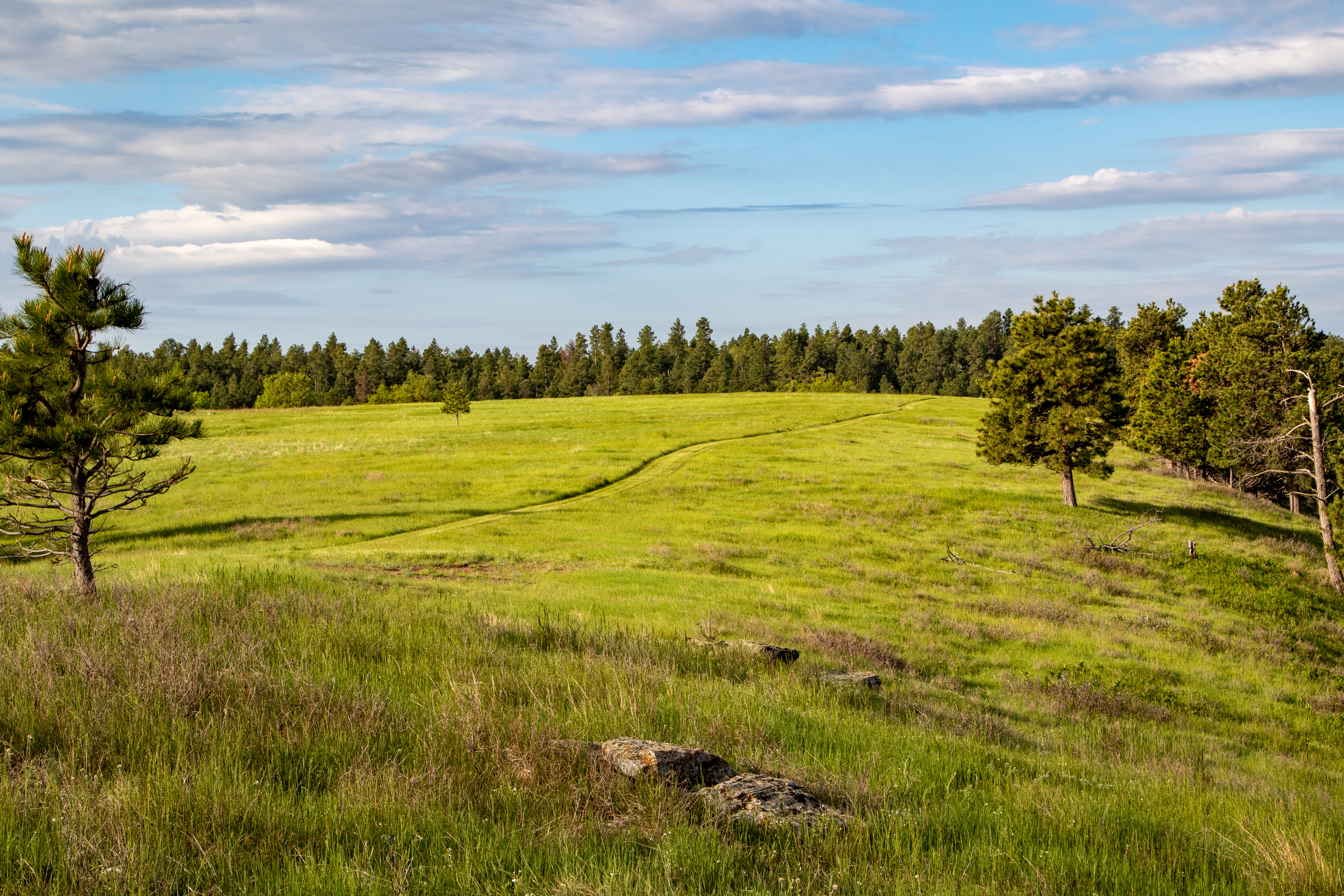 Go Away Ranch property picture 29 of 42