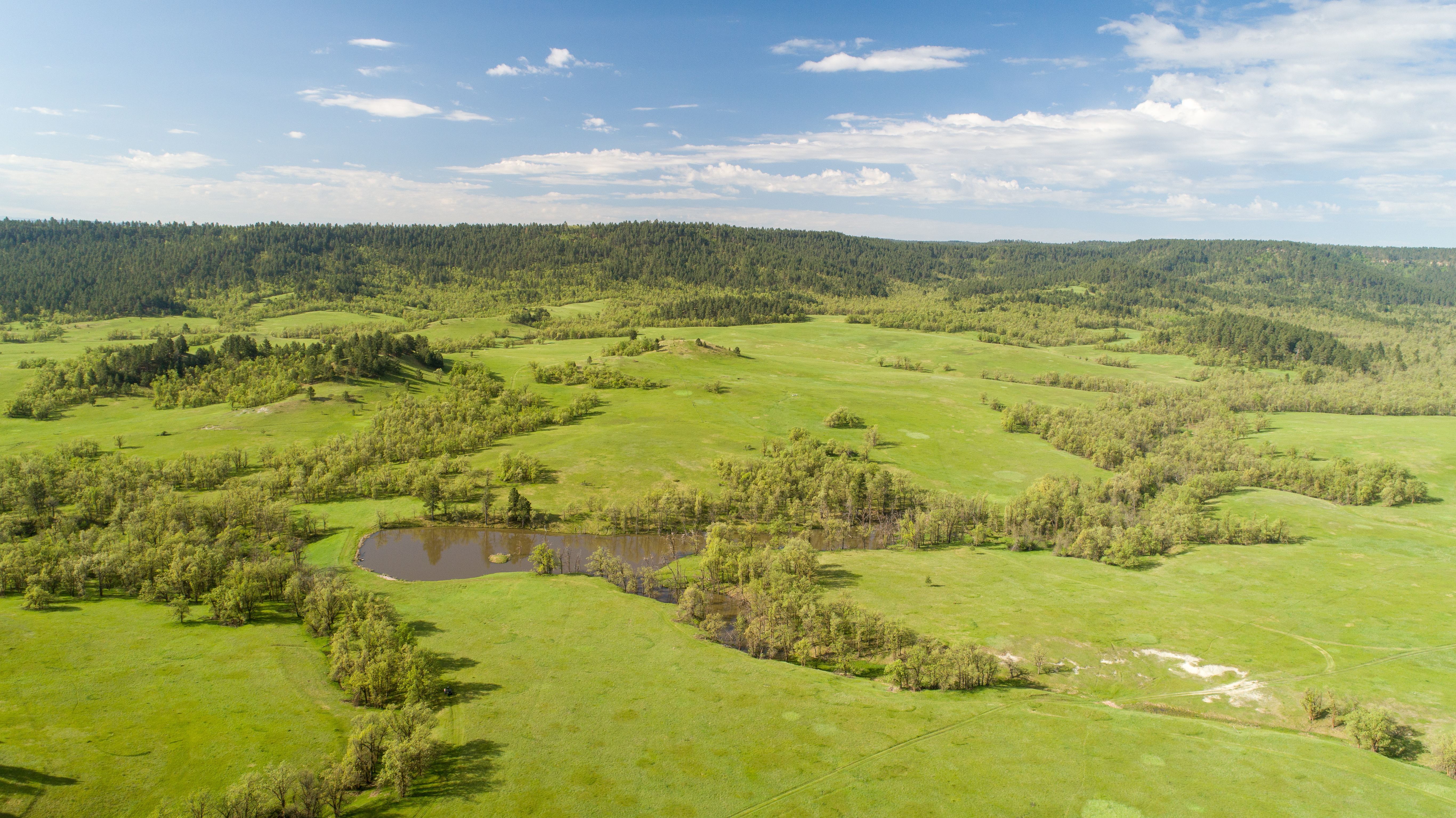 Go Away Ranch property picture 31 of 42