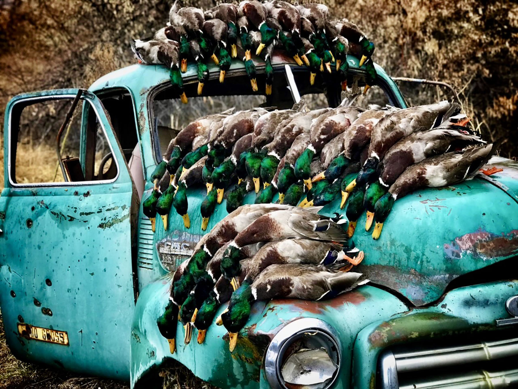 Old Teal Ranch property picture 7 of 72