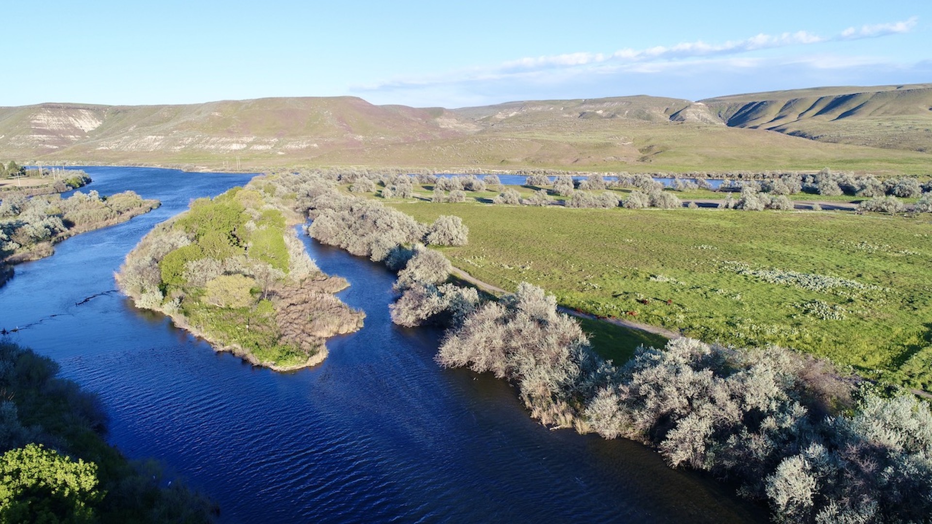 Old Teal Ranch property picture 16 of 72