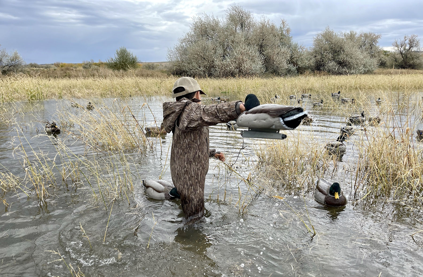 Old Teal Ranch property picture 34 of 72