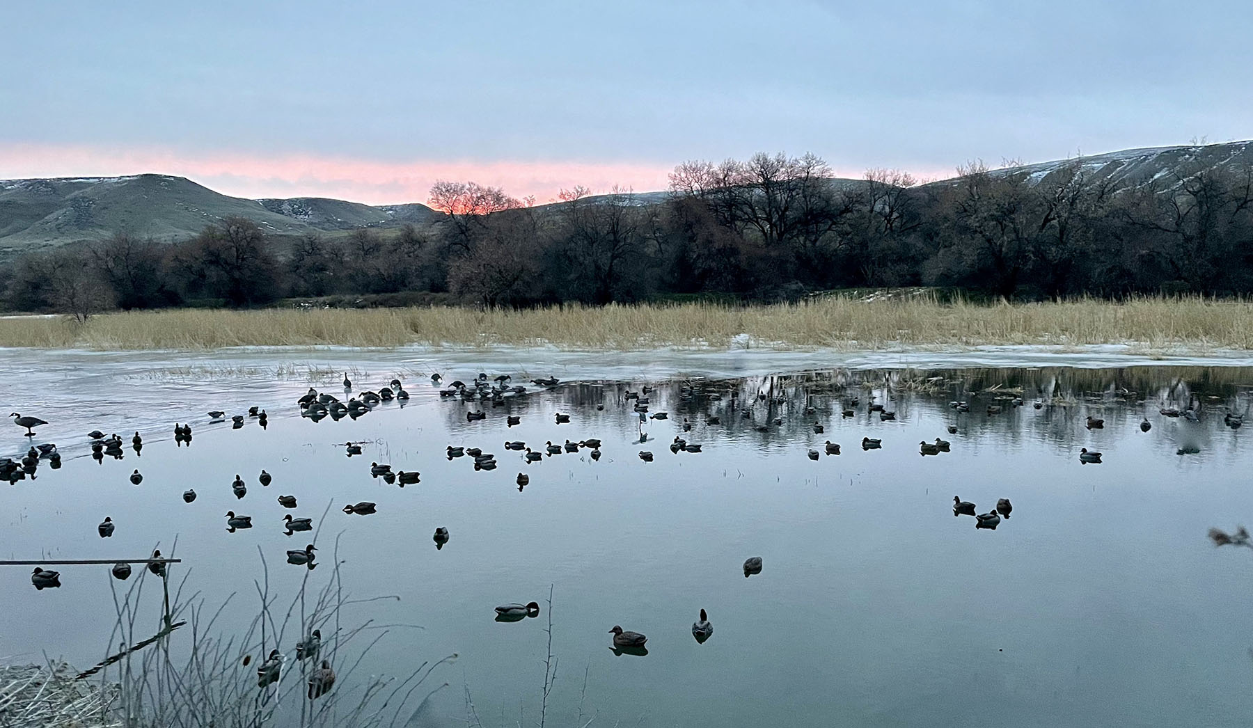 Old Teal Ranch property picture 31 of 72