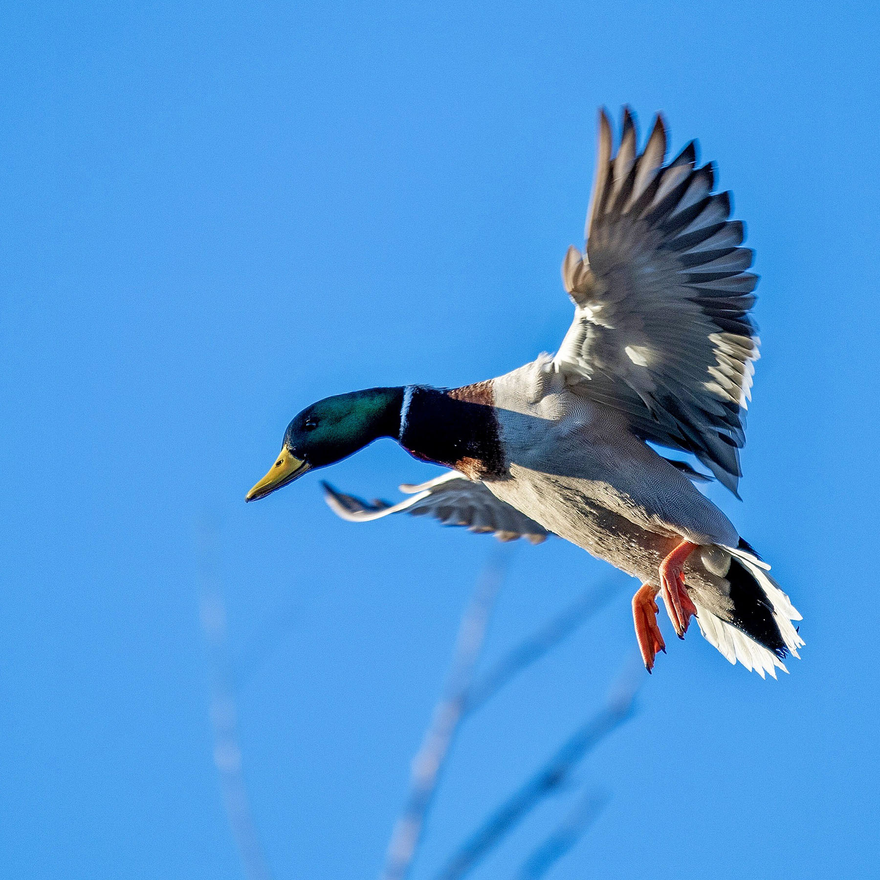 Old Teal Ranch property picture 38 of 72