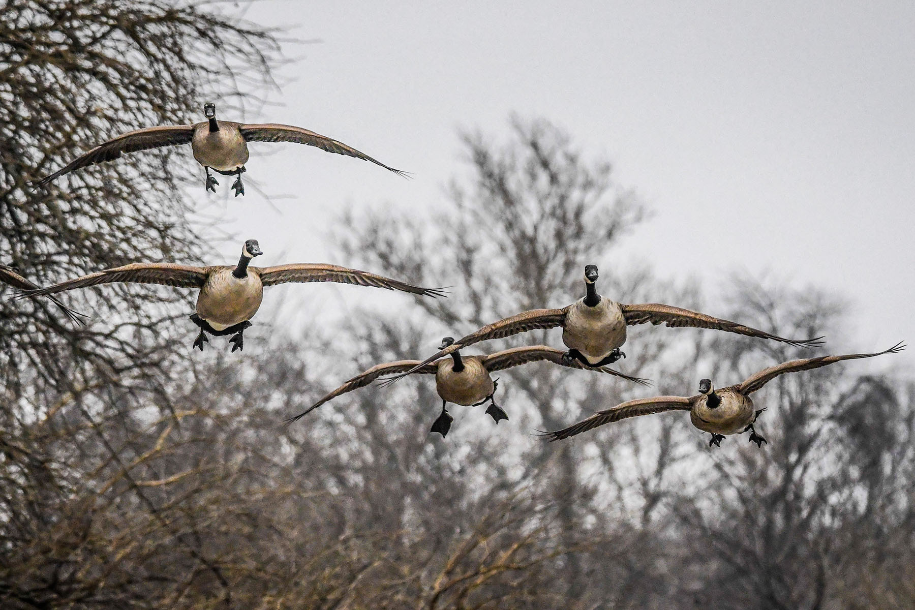 Old Teal Ranch property picture 39 of 72