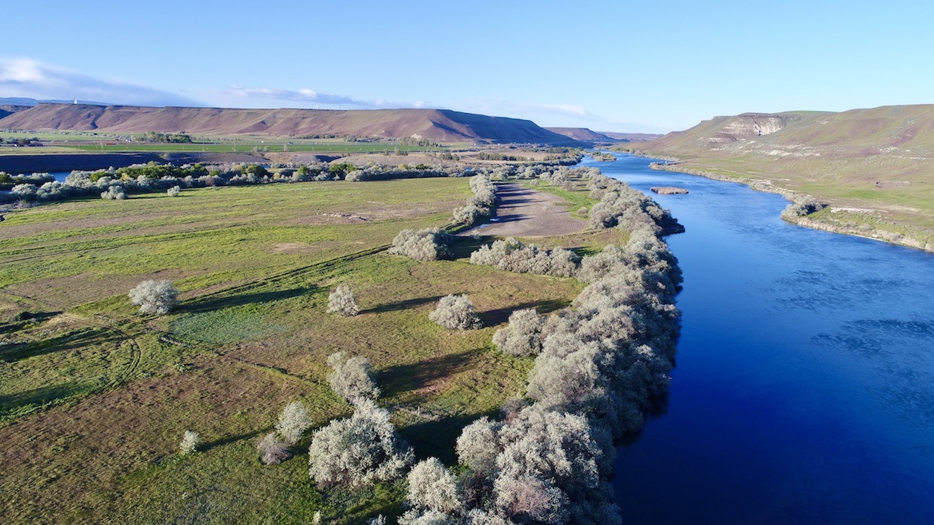 Old Teal Ranch property picture 25 of 72
