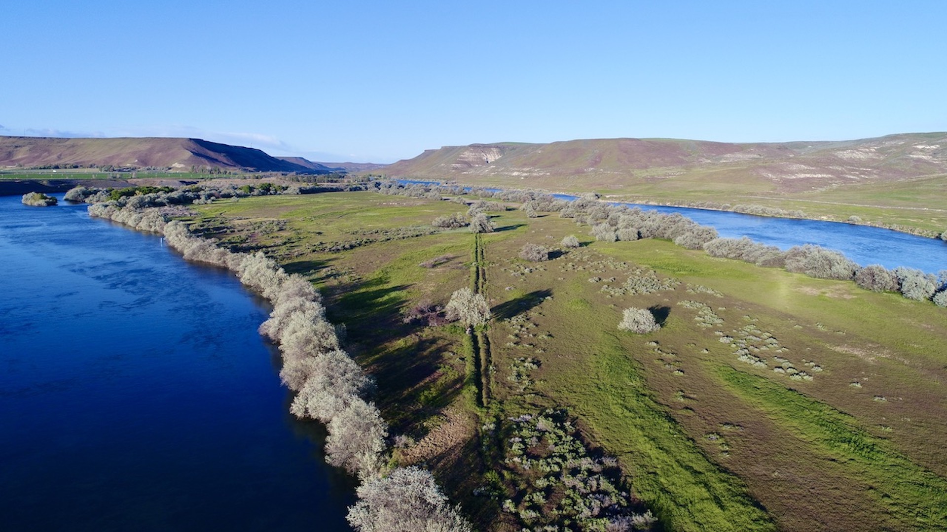 Old Teal Ranch property picture 9 of 72