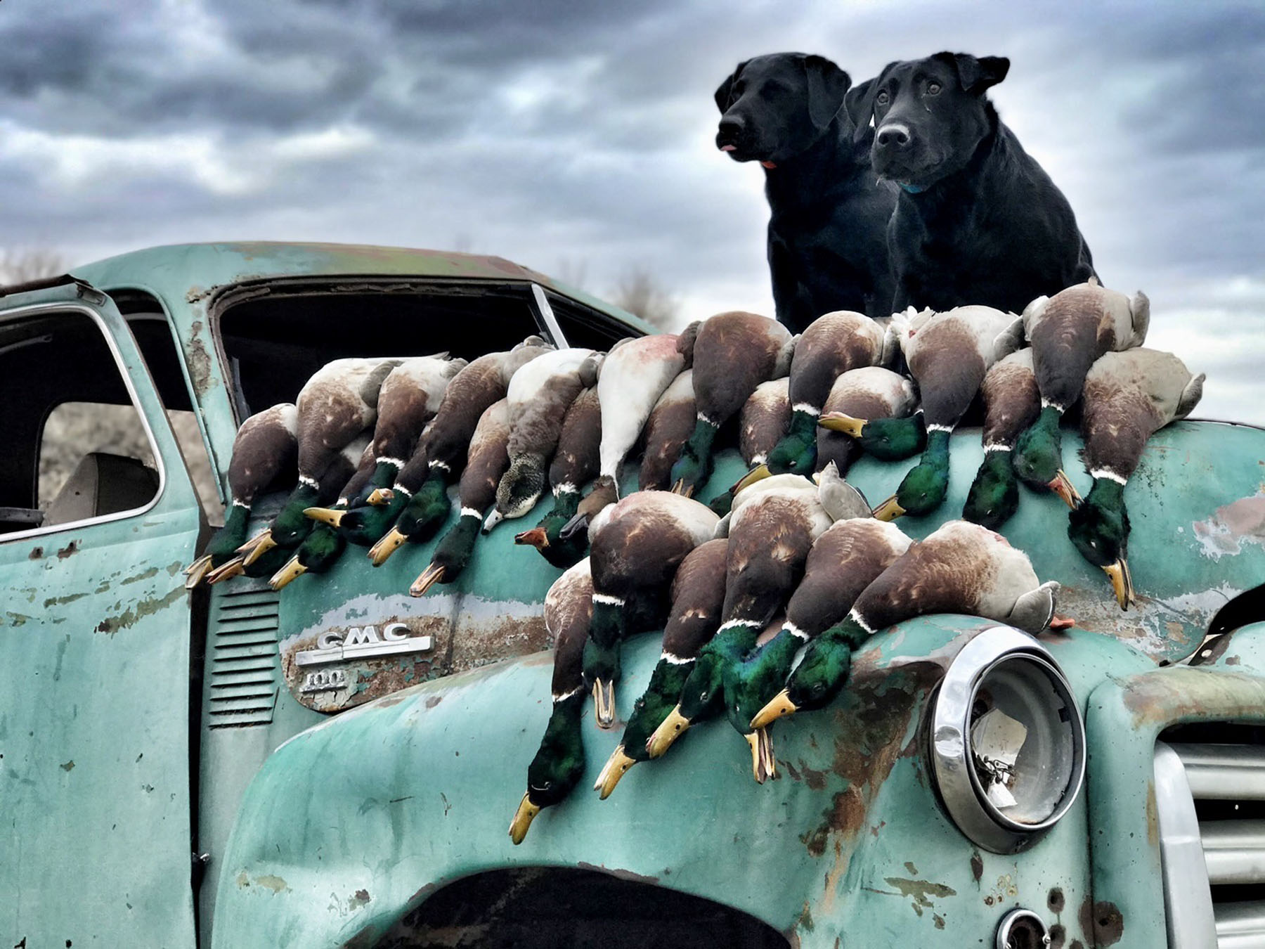 Old Teal Ranch property picture 6 of 72