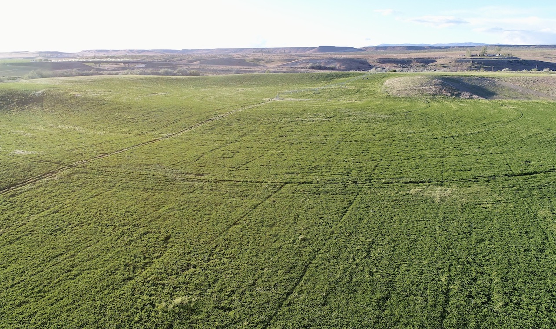 Old Teal Ranch property picture 11 of 72