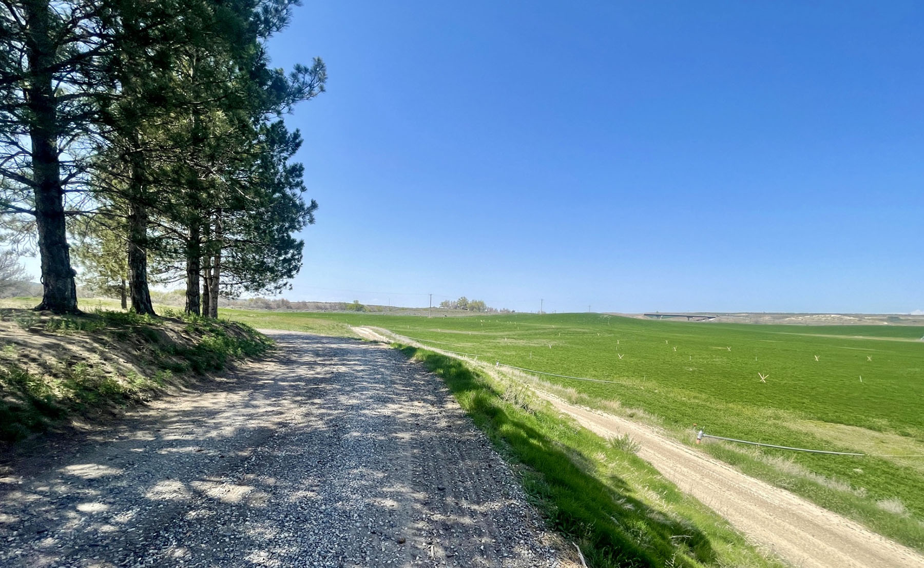 Old Teal Ranch property picture 63 of 72