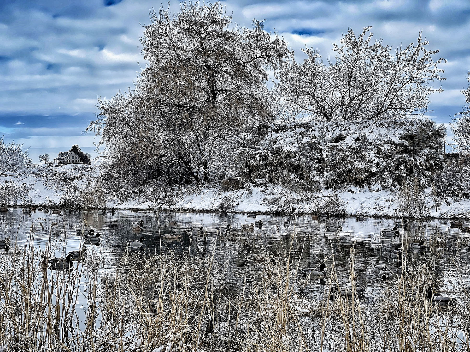 Old Teal Ranch property picture 30 of 72
