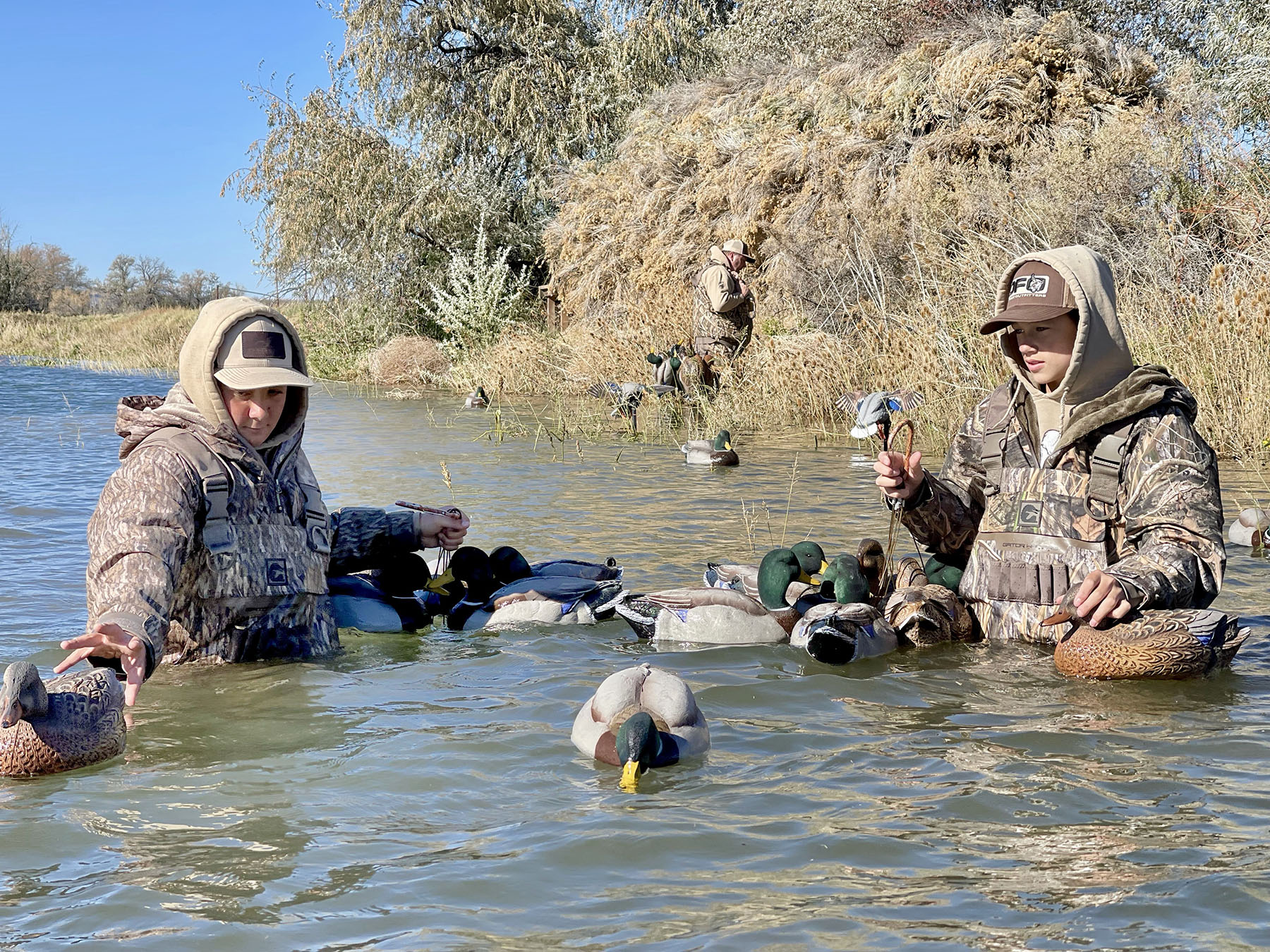 Old Teal Ranch property picture 35 of 72