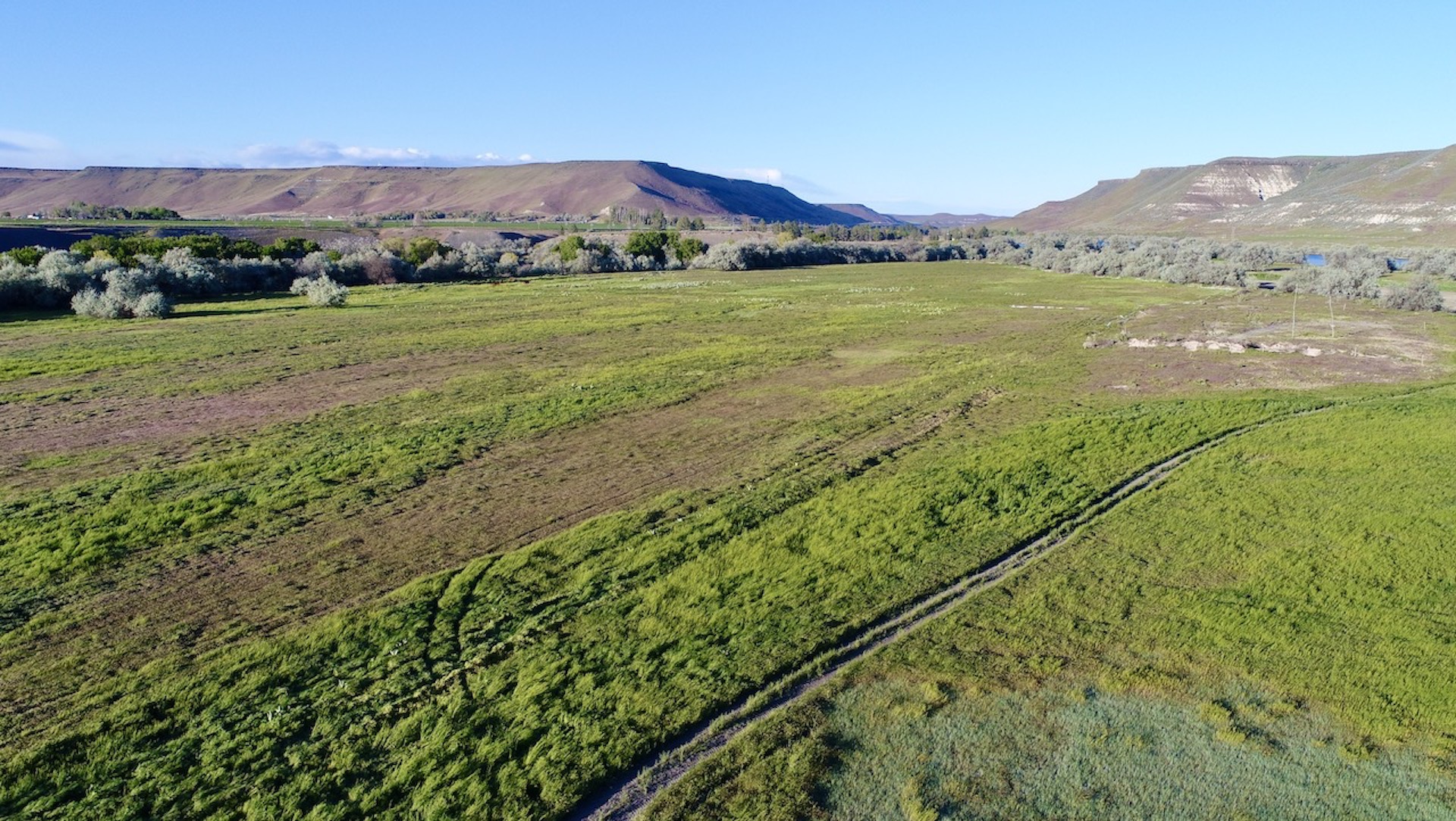 Old Teal Ranch property picture 21 of 72