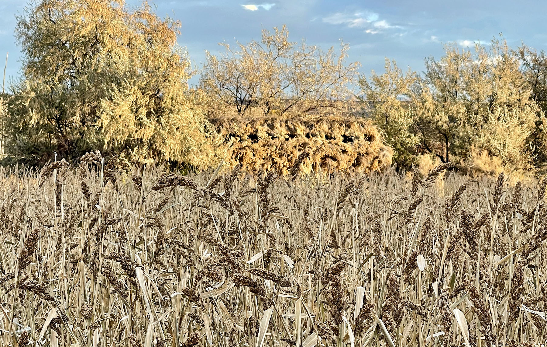 Old Teal Ranch property picture 33 of 72