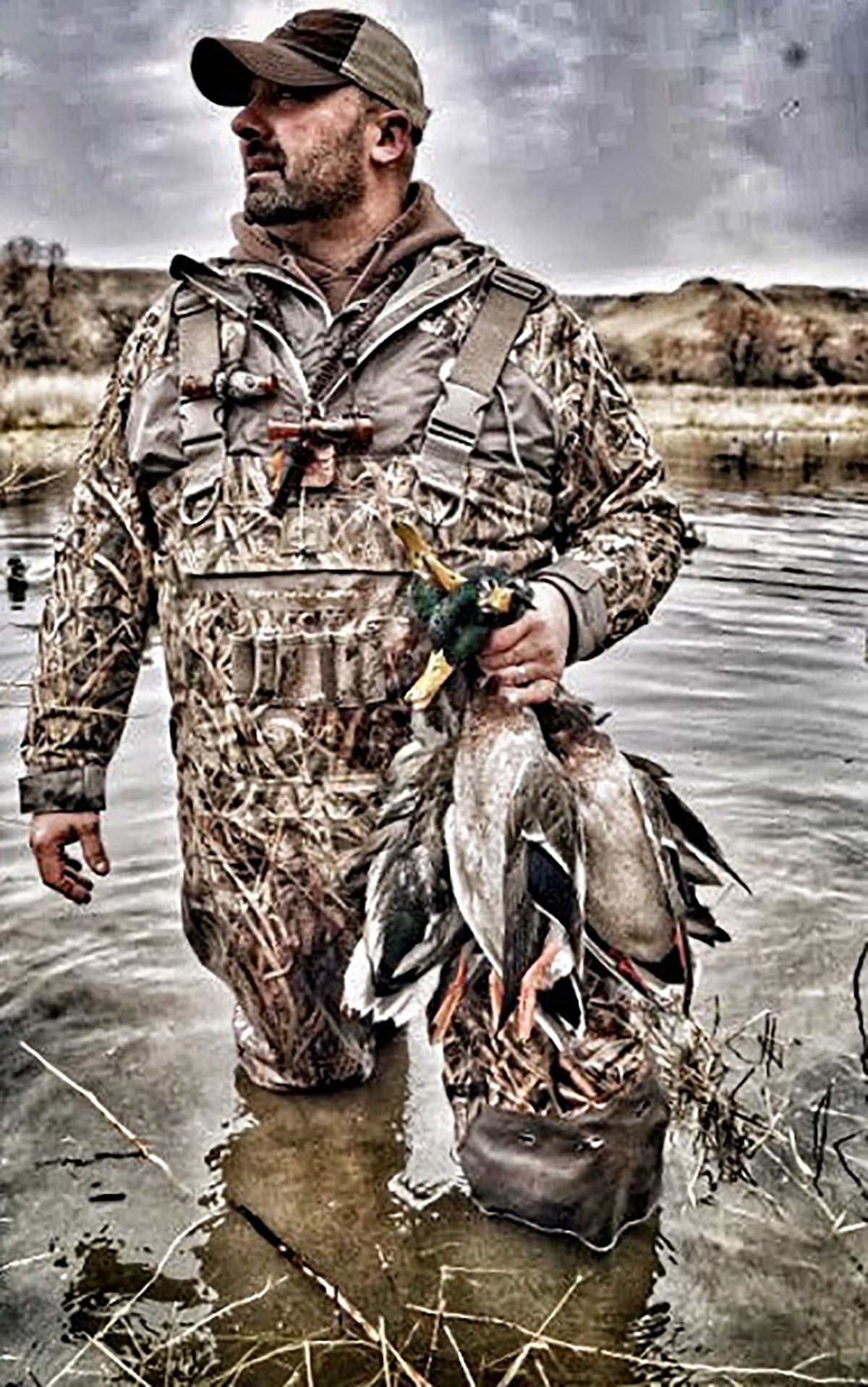 Old Teal Ranch property picture 4 of 72